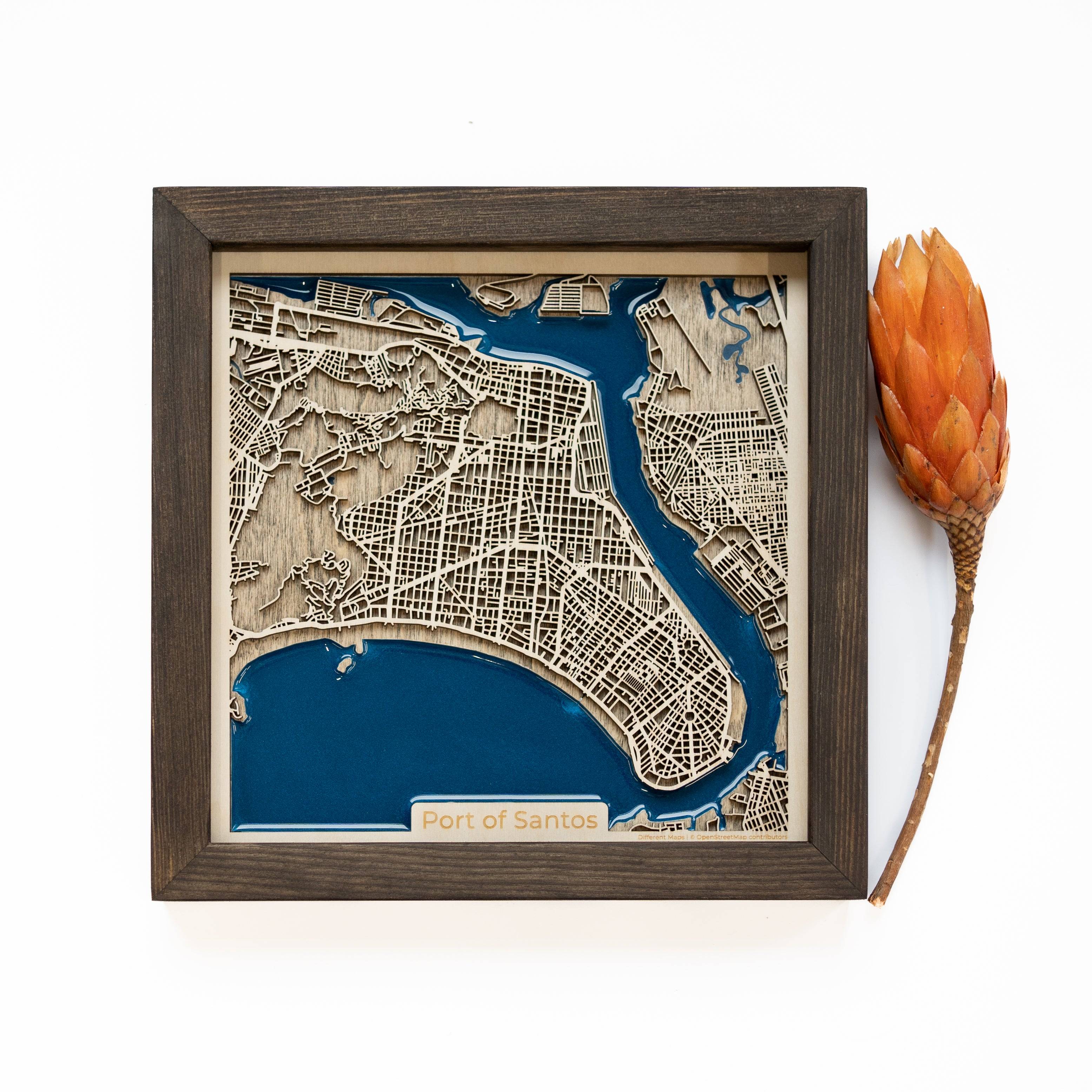 Port of Santos Wood Map