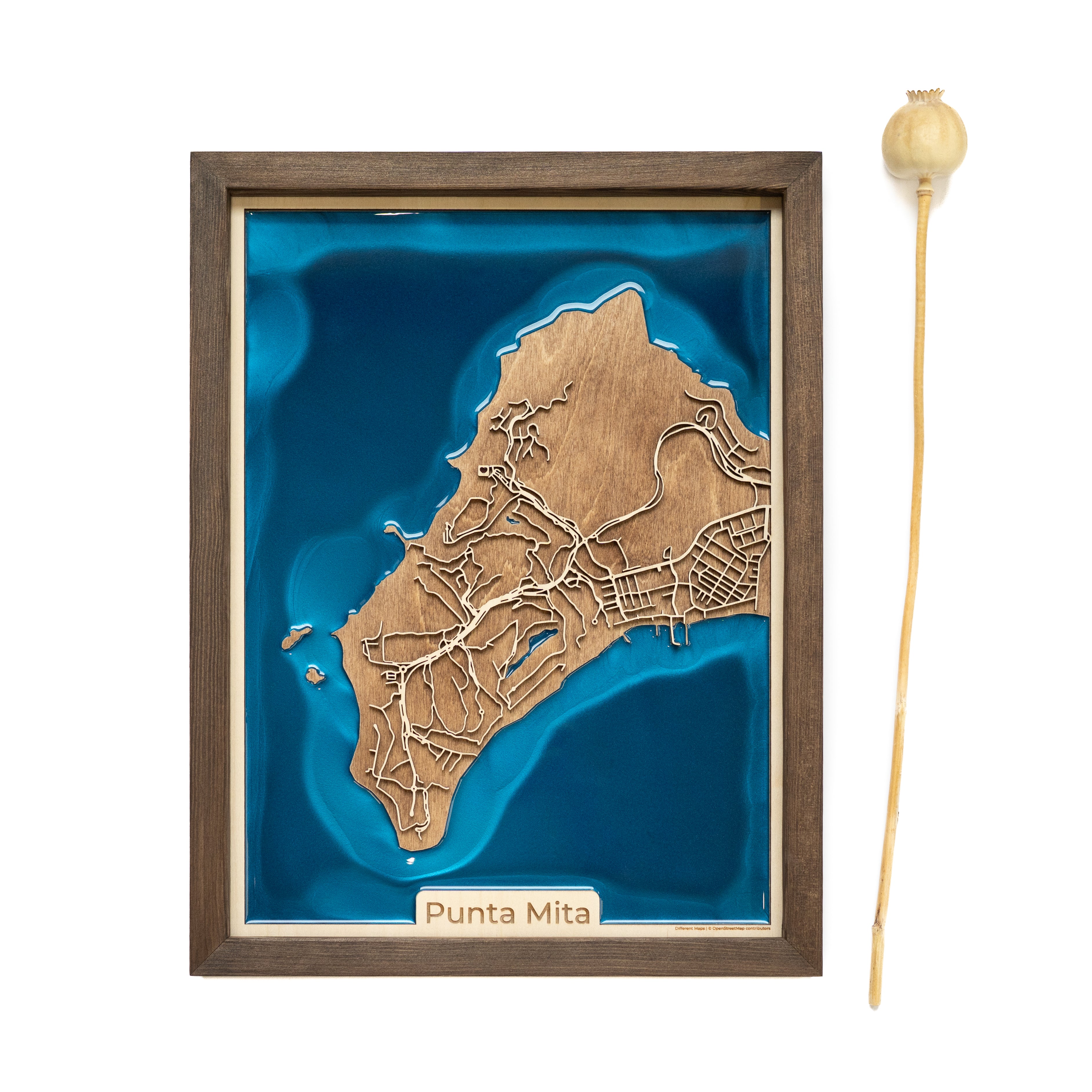 Punta de Mita Mexico Personalized Map