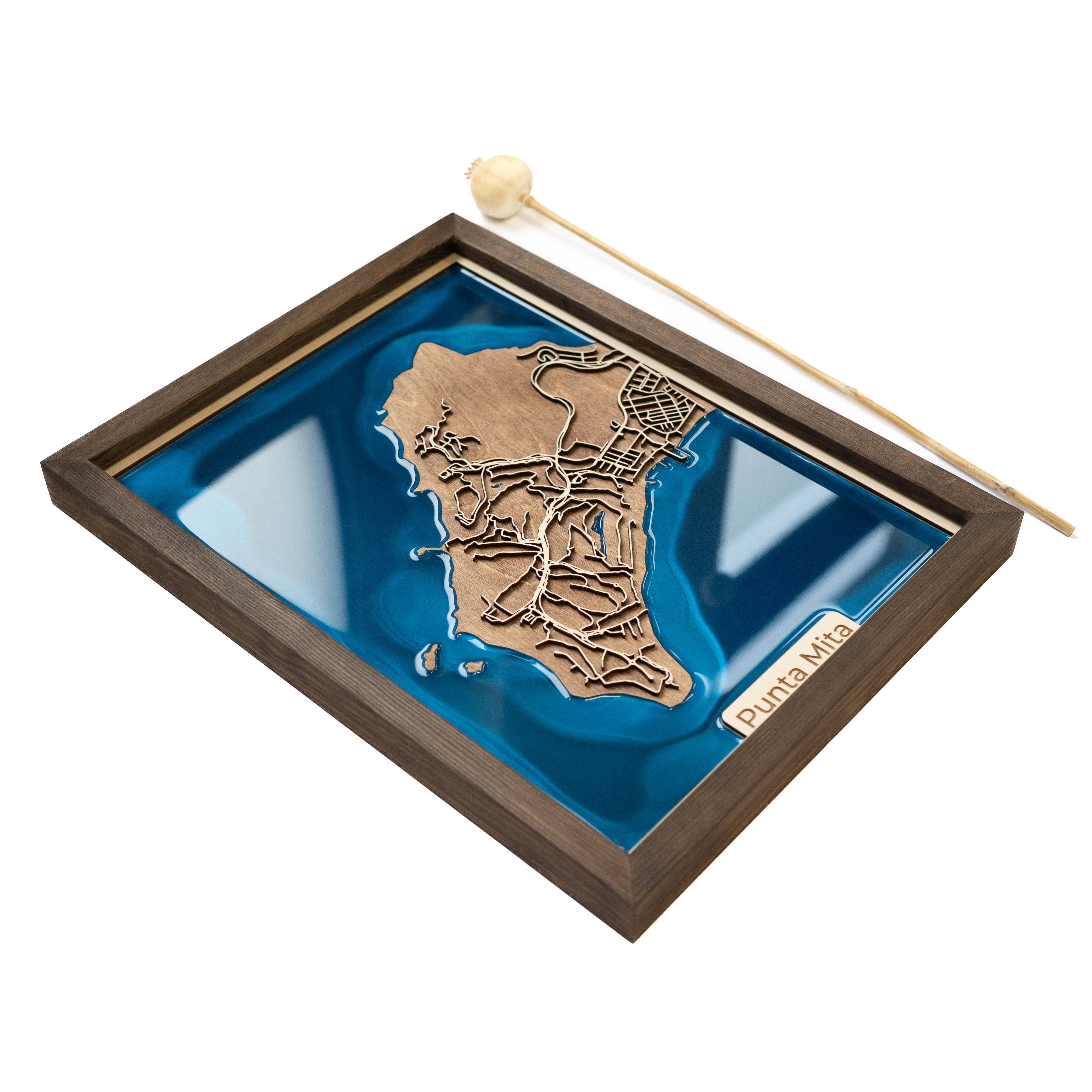 Punta de Mita Mexico Custom Map