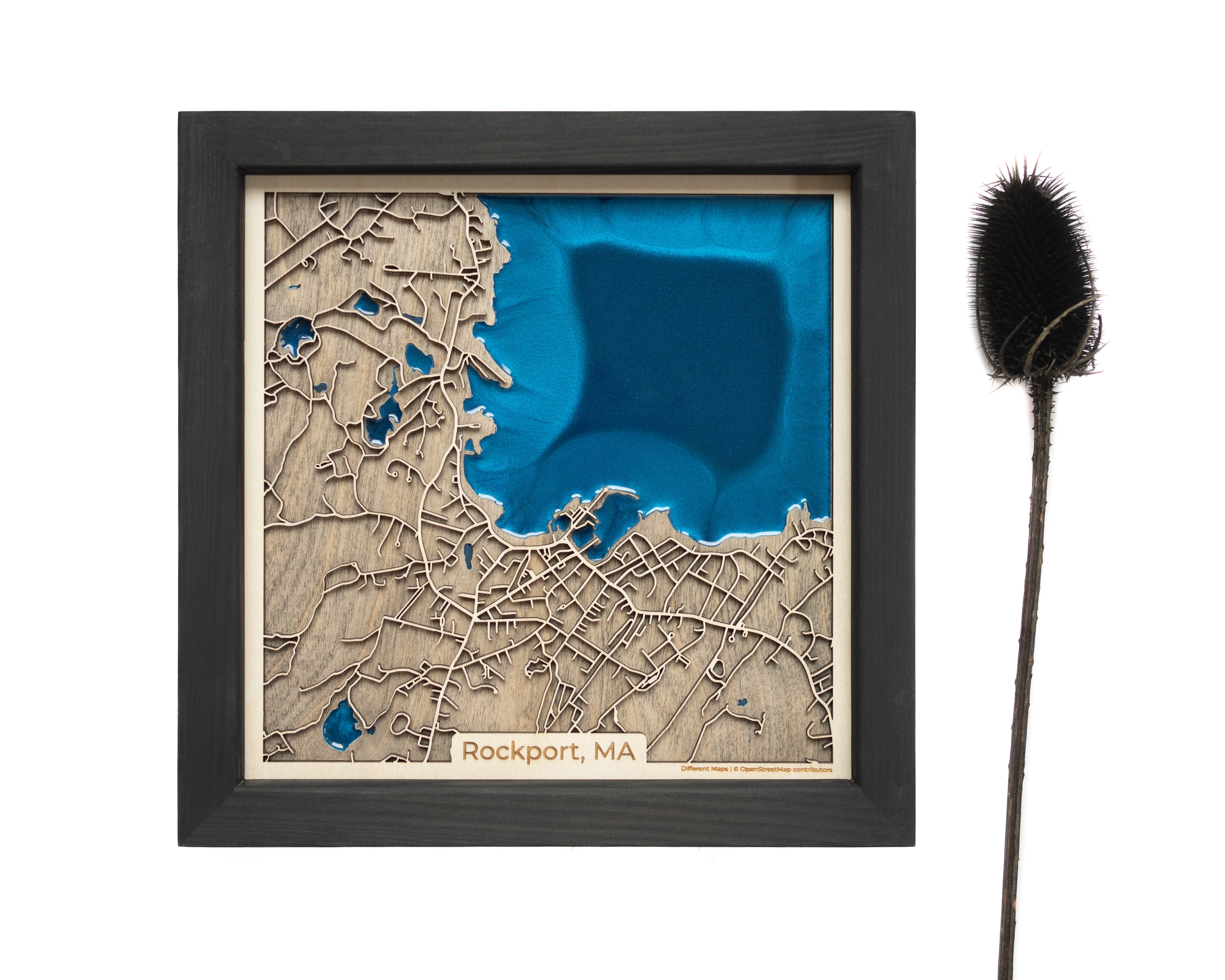 Rockport Special Gift