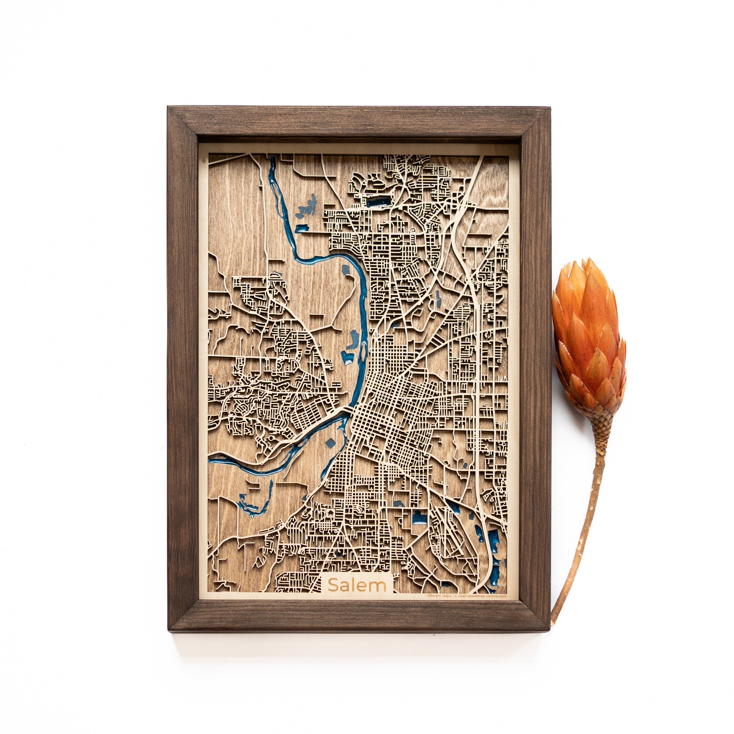 Salem Wood Map