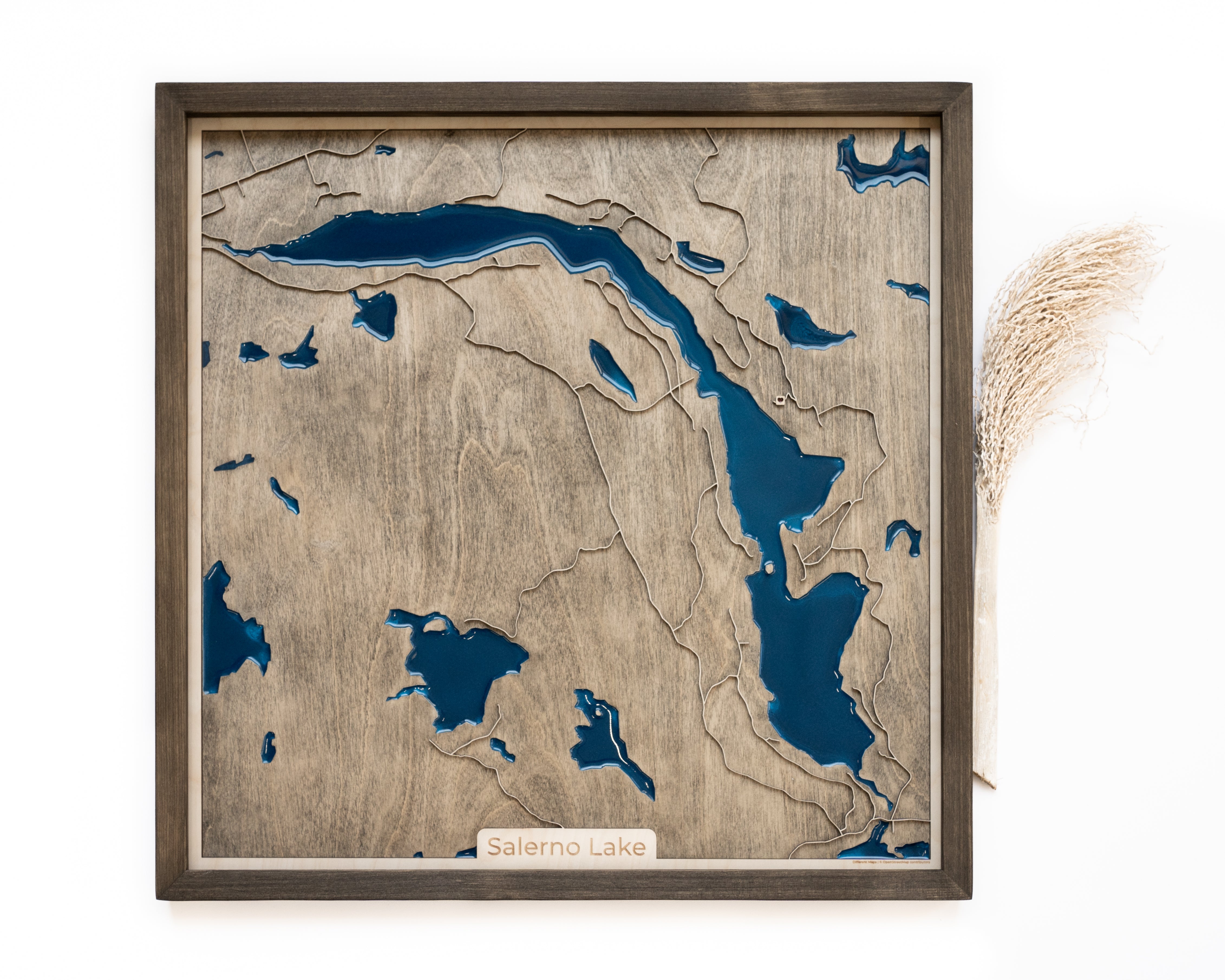 Salerno Lake Wood Map