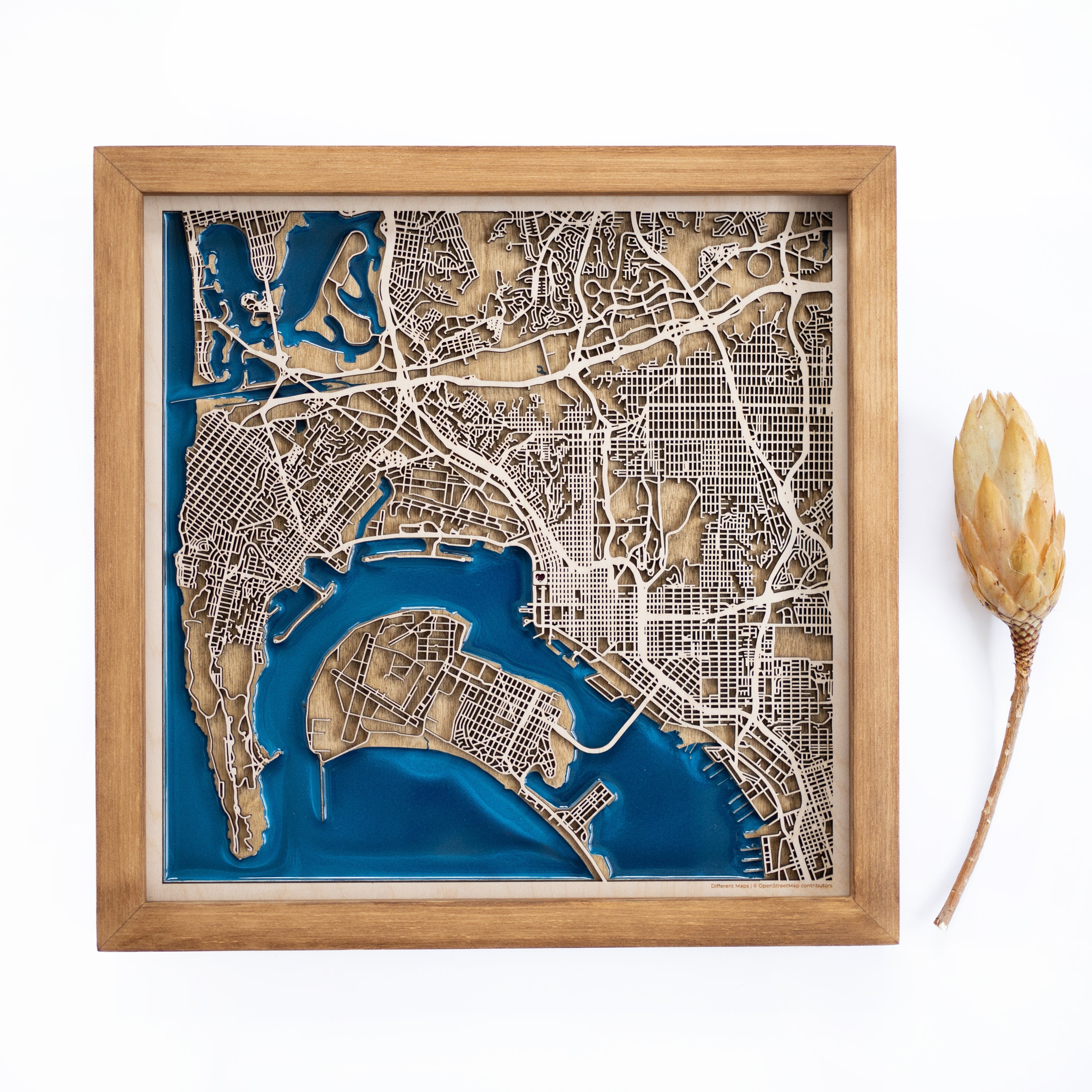 San Diego Wood Map