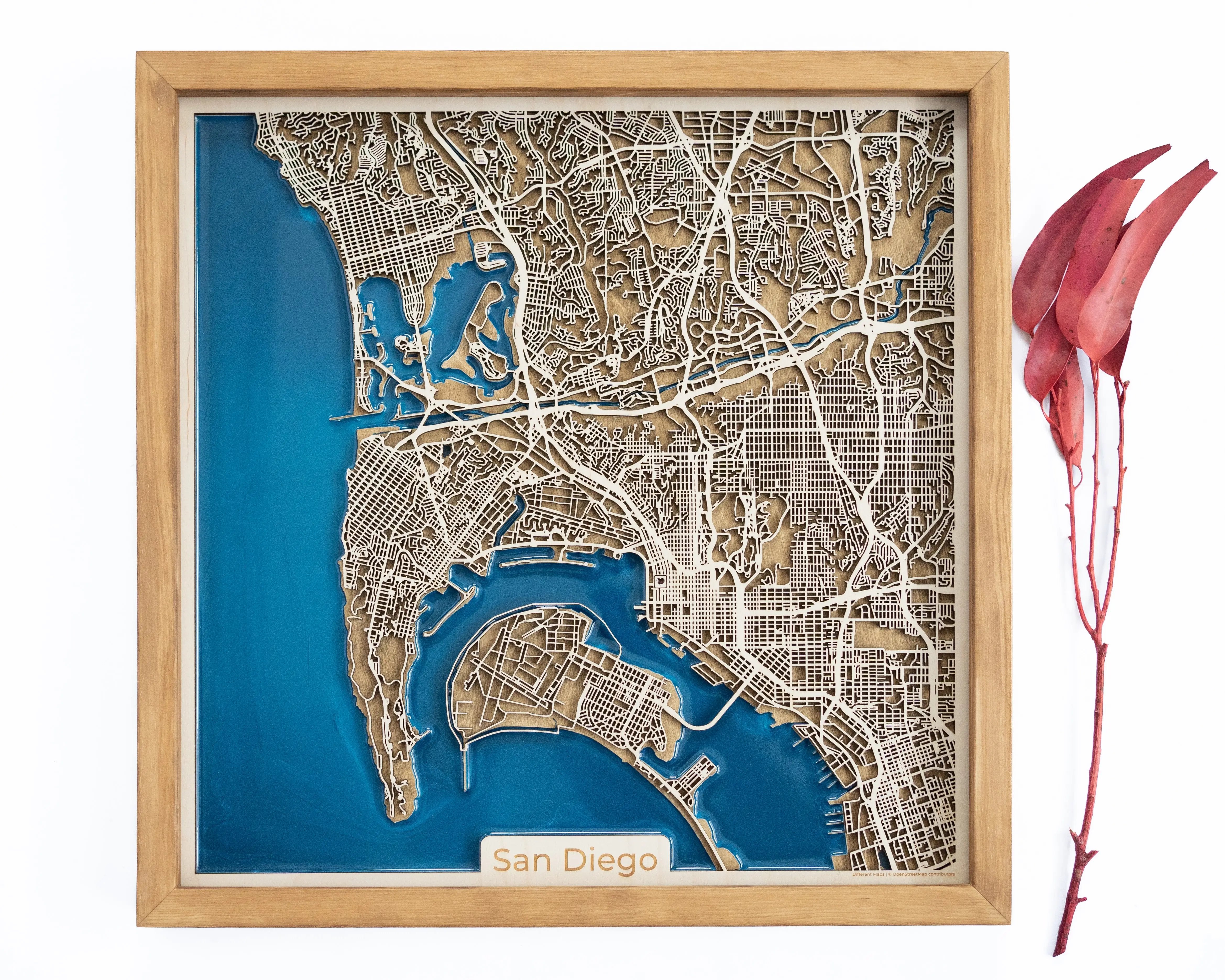 San Diego Wooden Map