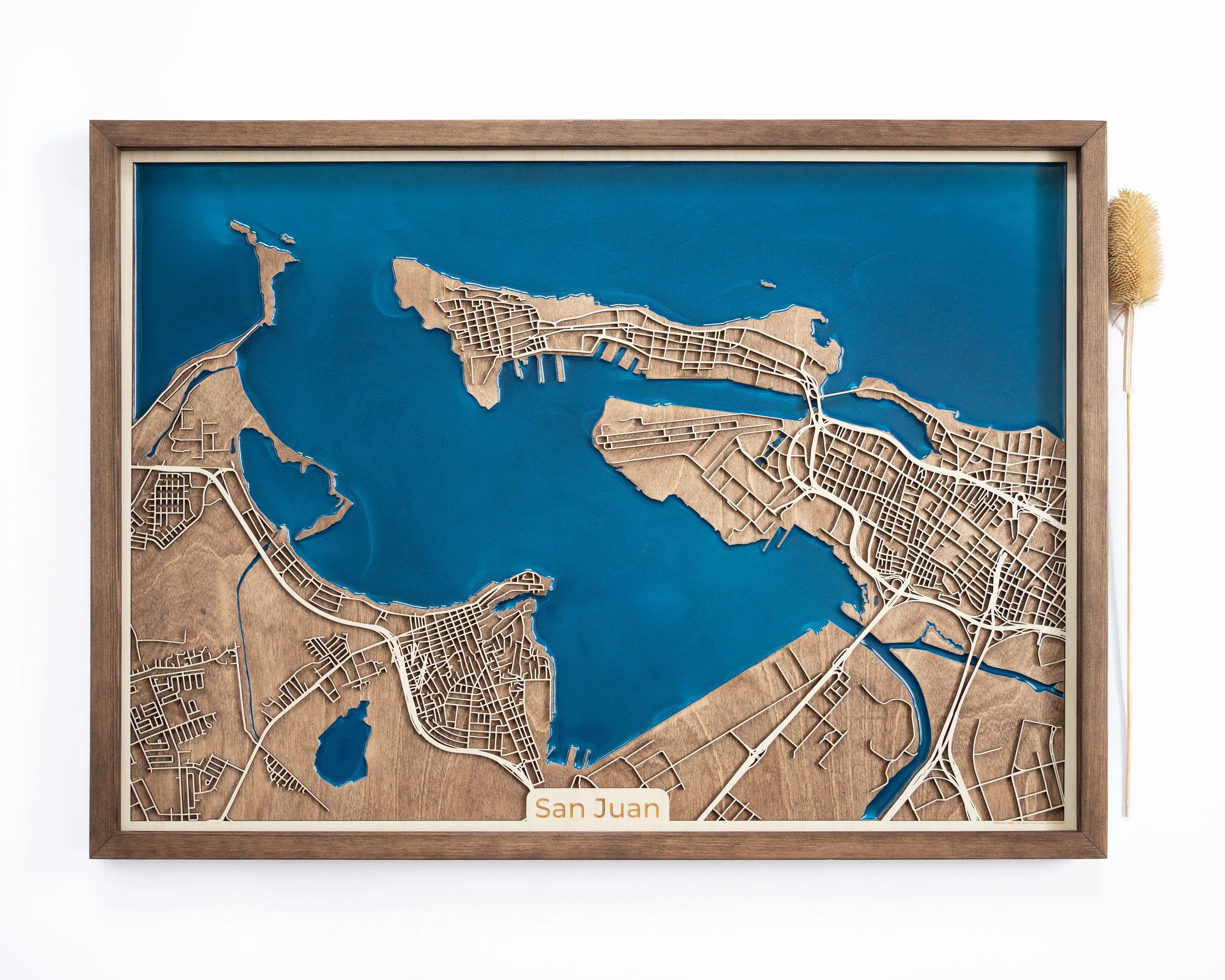 San Juan Wood Map
