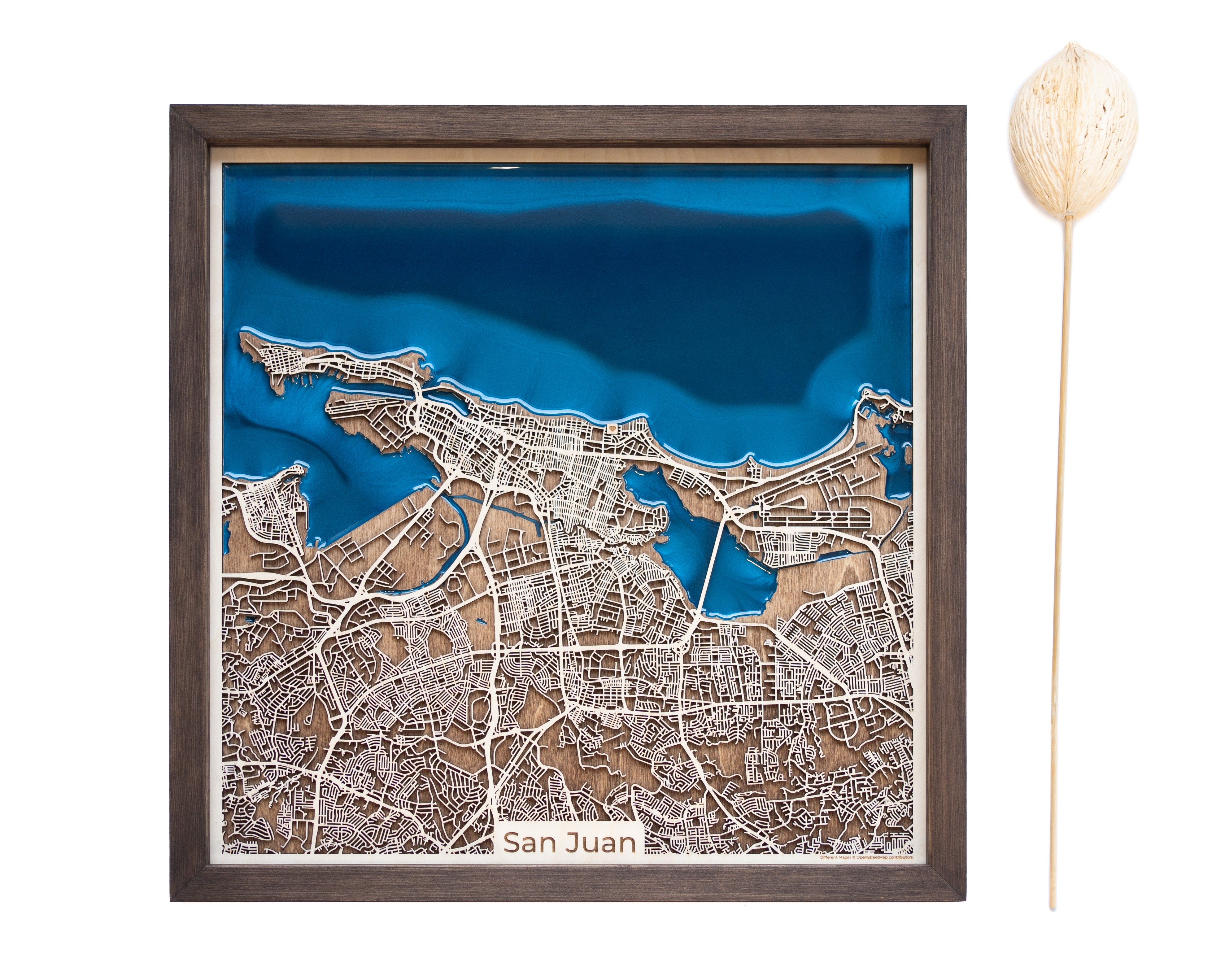 San Juan Puerto Rico Caribbean Map
