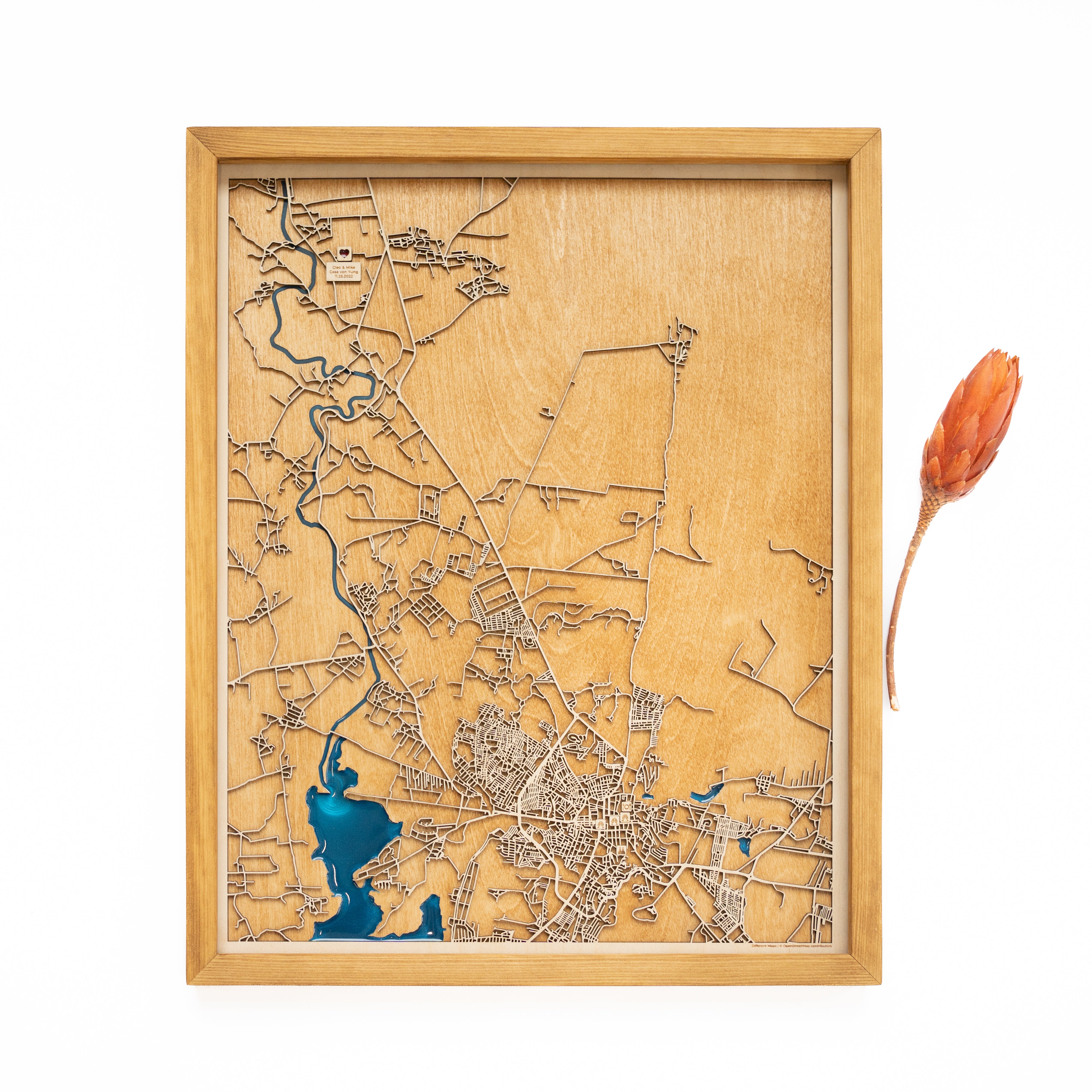 San Miguel Wood Map