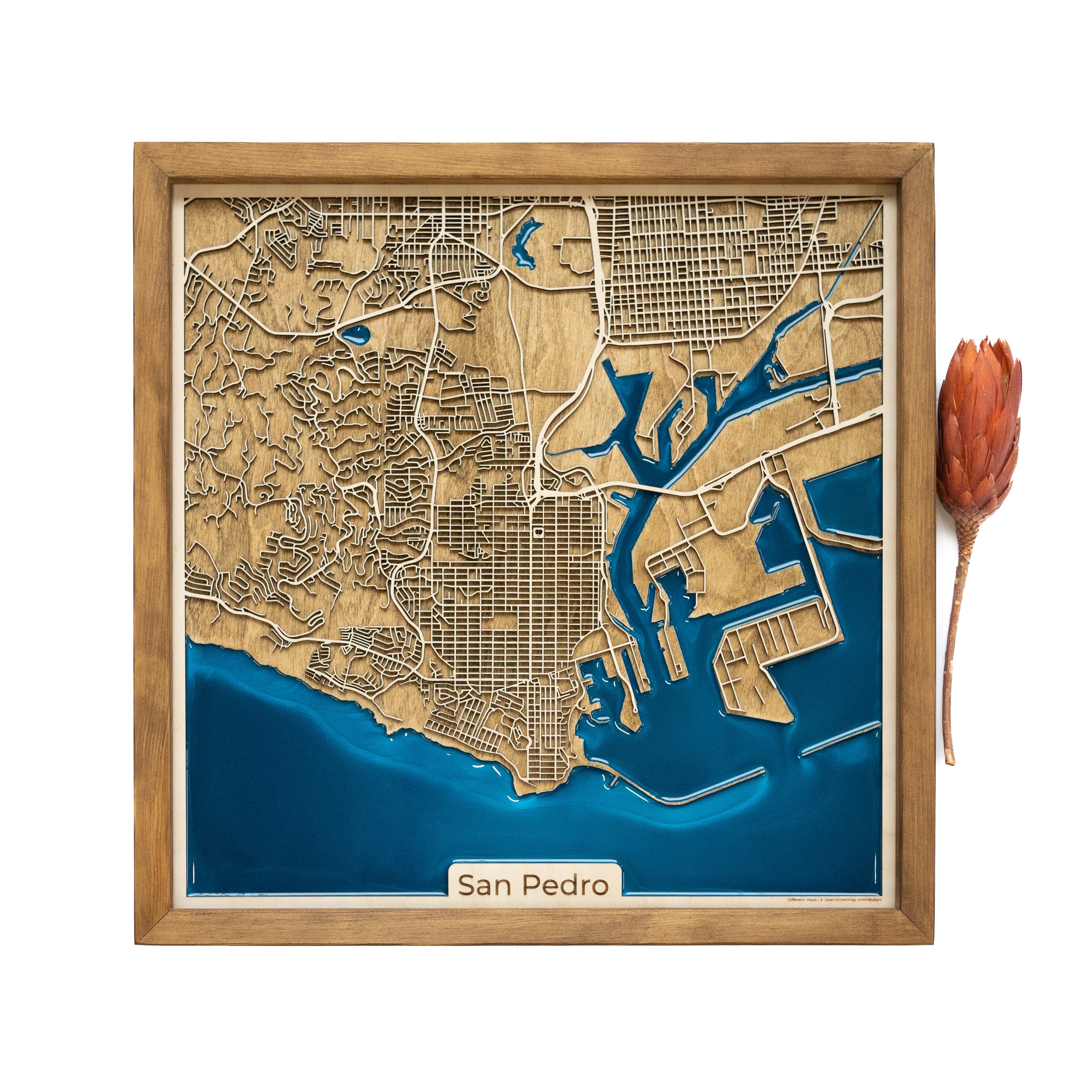 San Pedro Wood Map