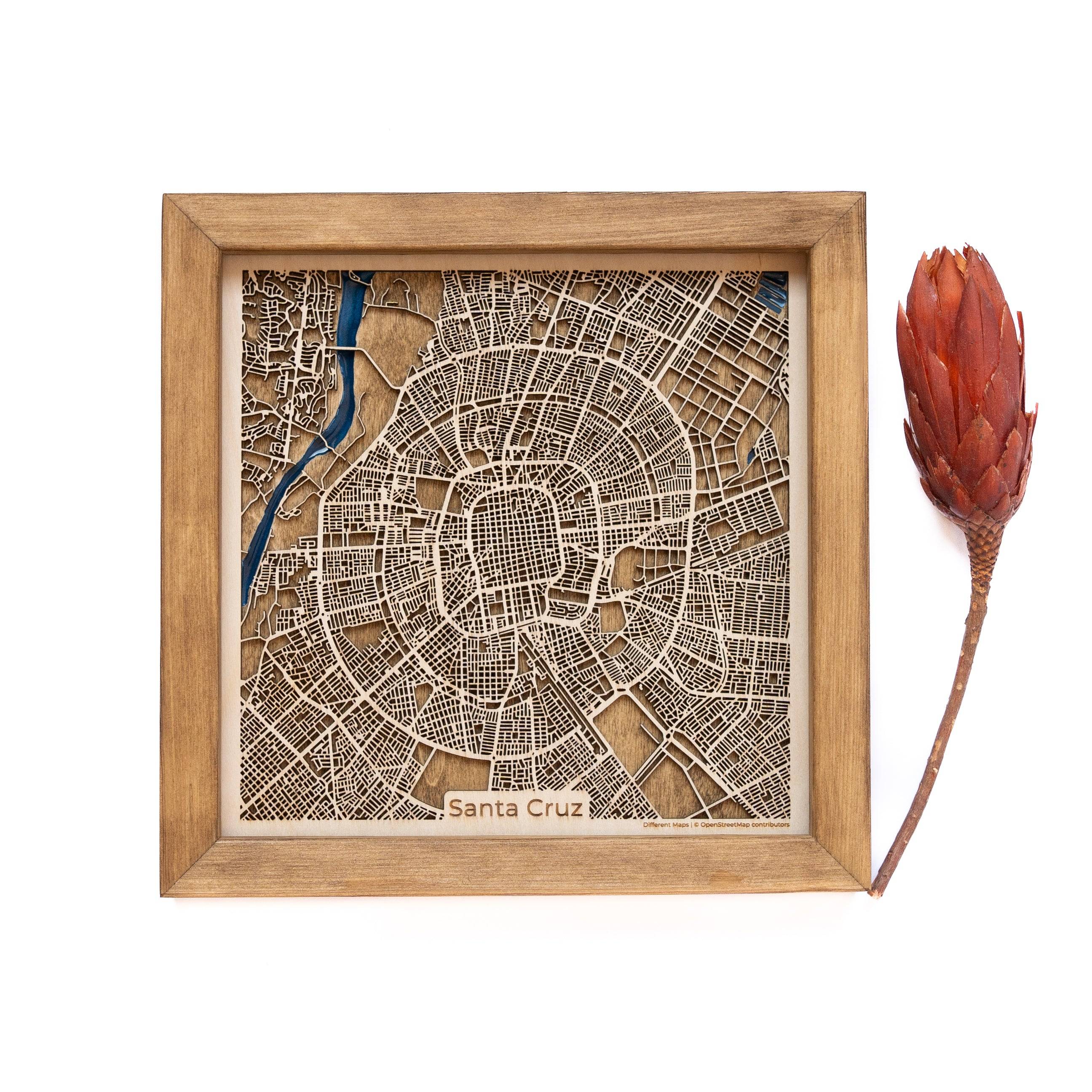 Santa Cruz de la Sierra Wood Map