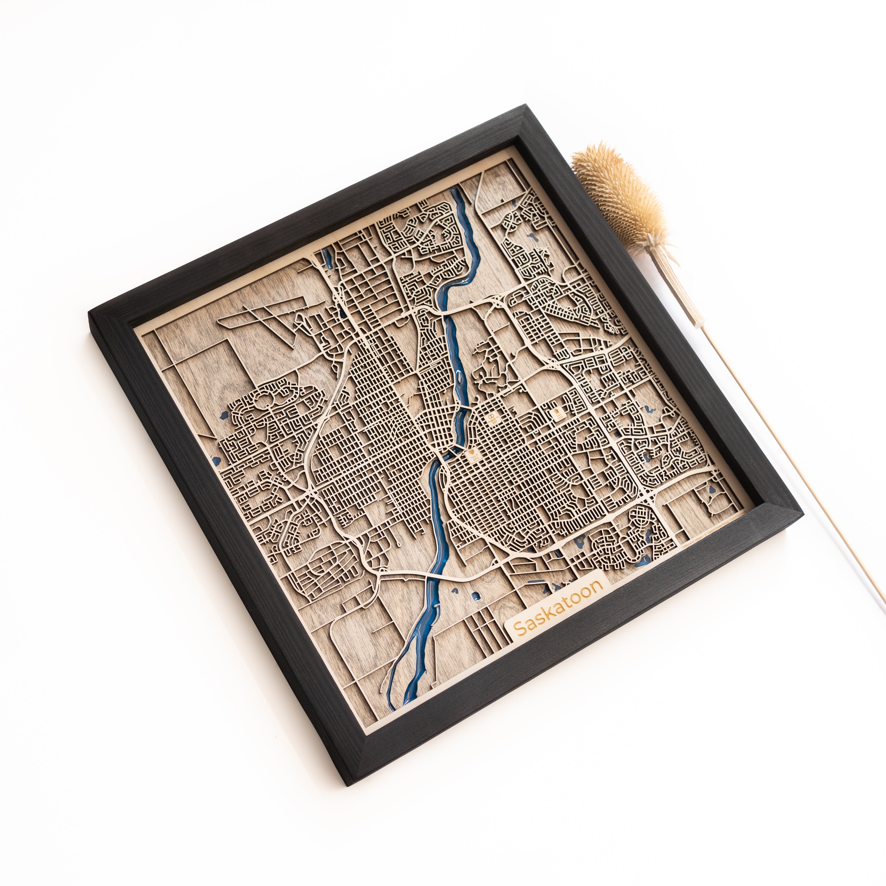 Saskatoon Map