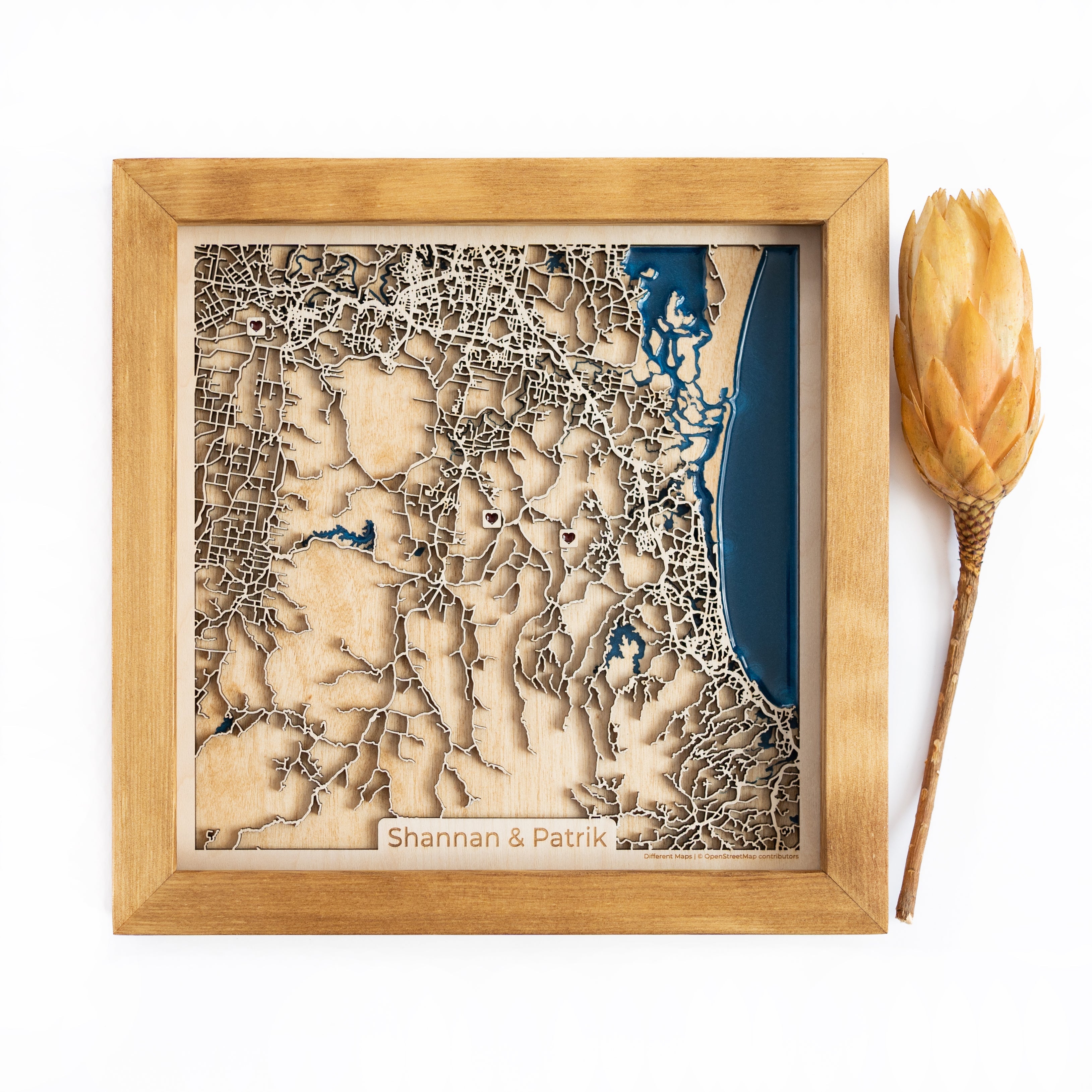 Scenic Rim Region Wood Map