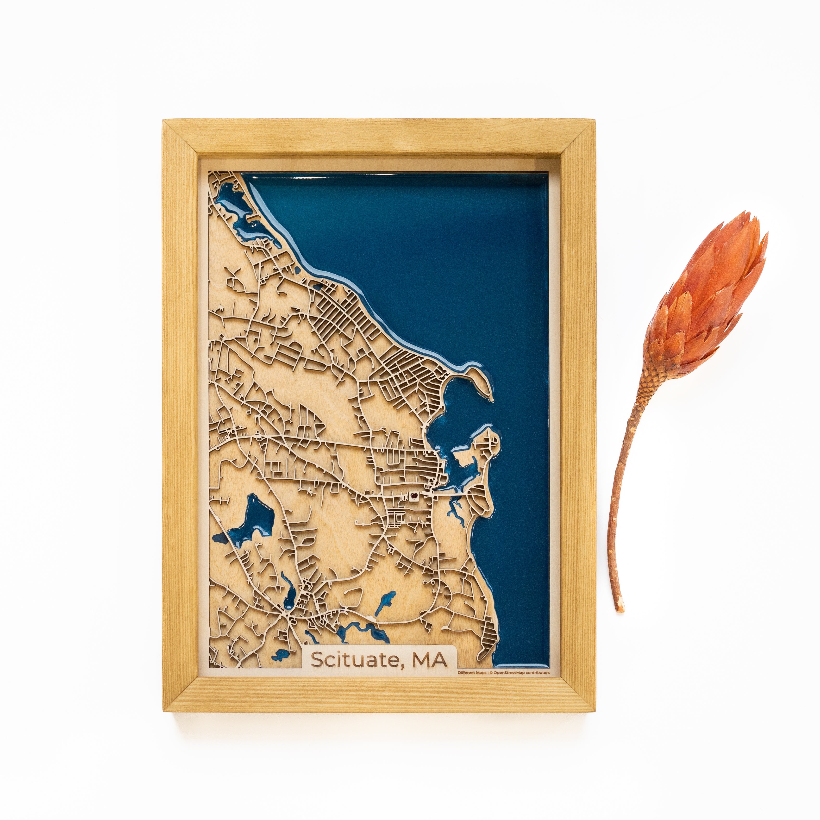 Scituate Wood Map
