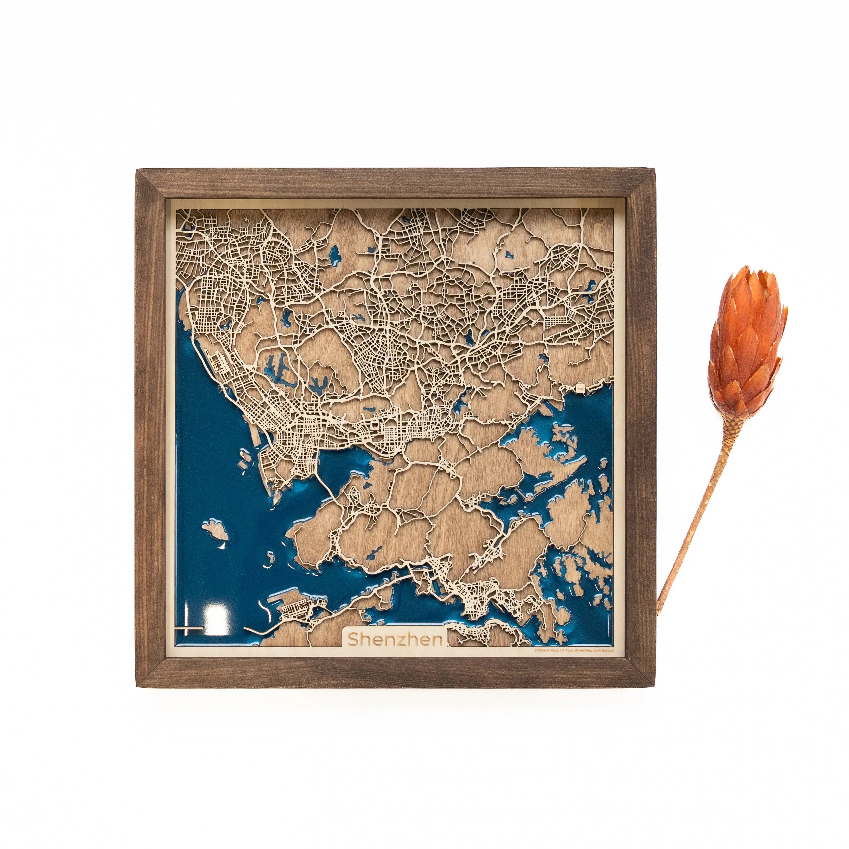 Shenzhen Wood Map