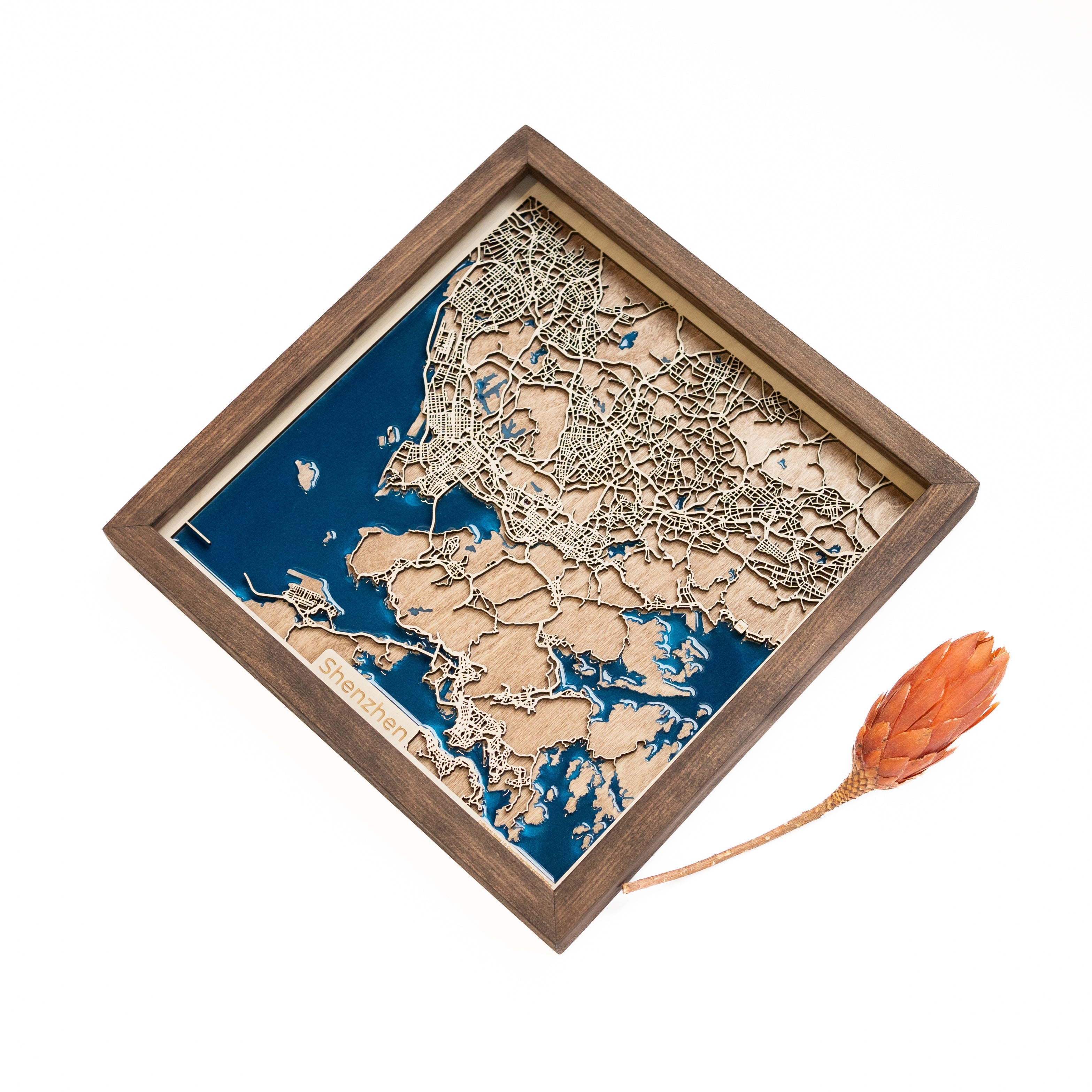 Shenzhen Map