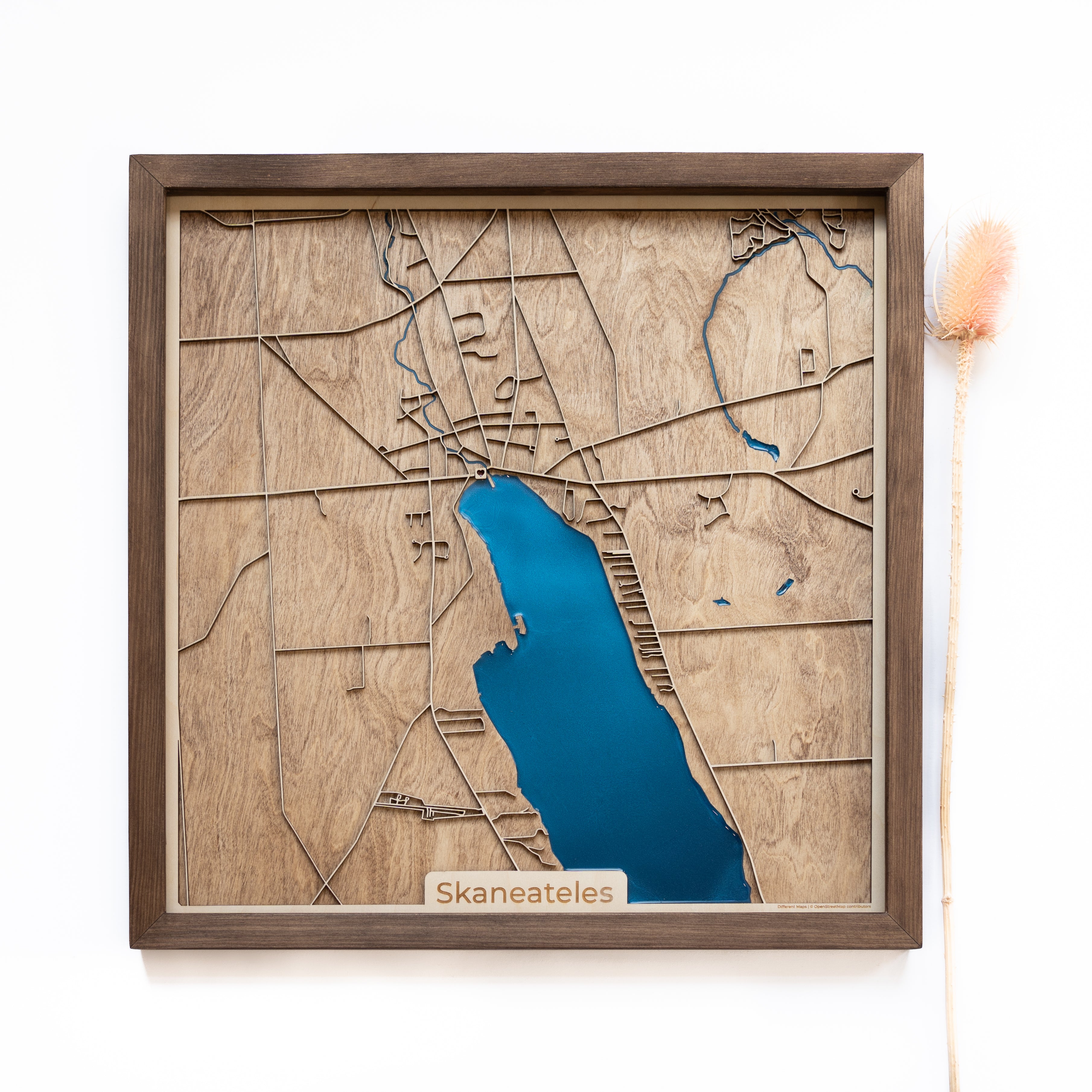 Skaneateles Wood Map