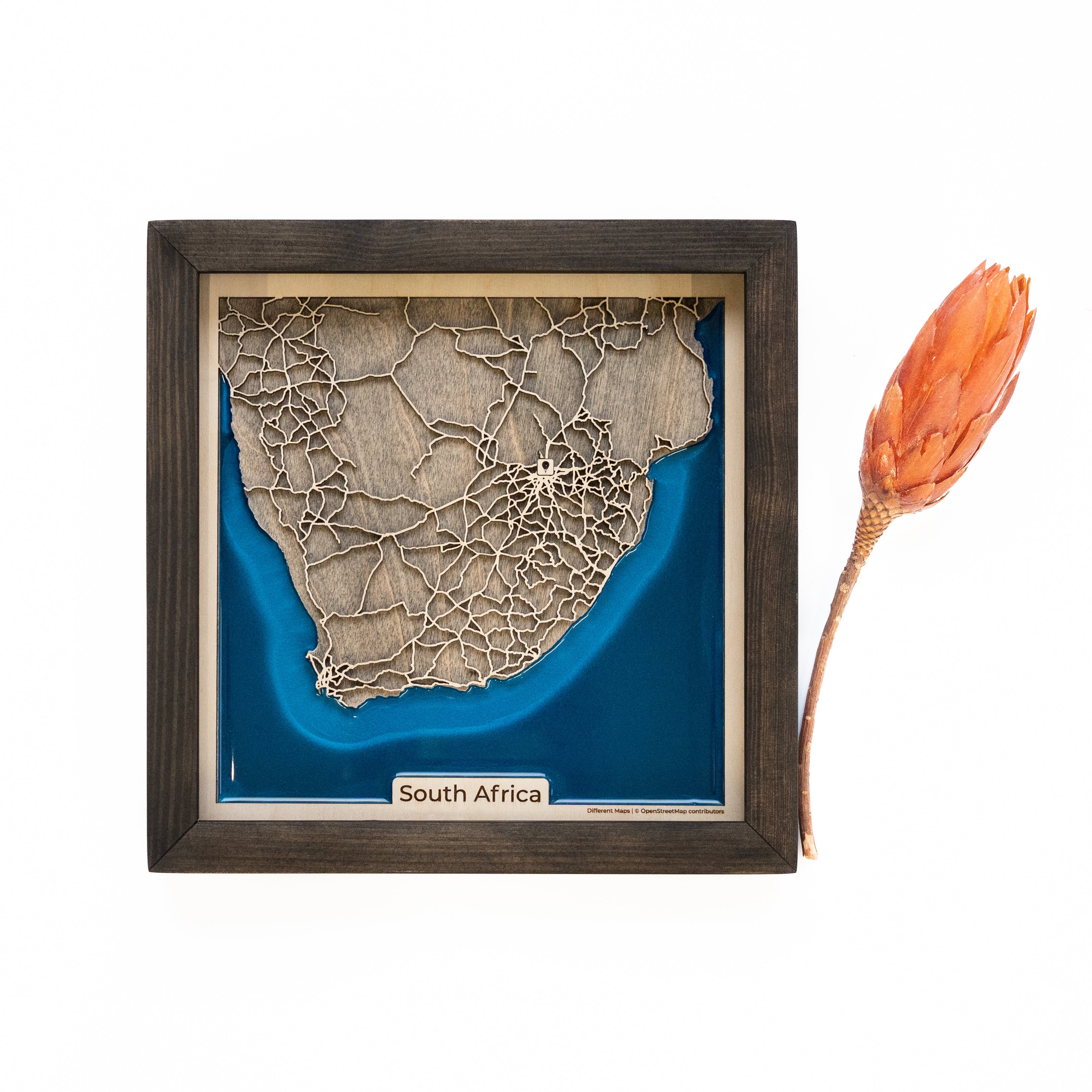South Africa Wood Map