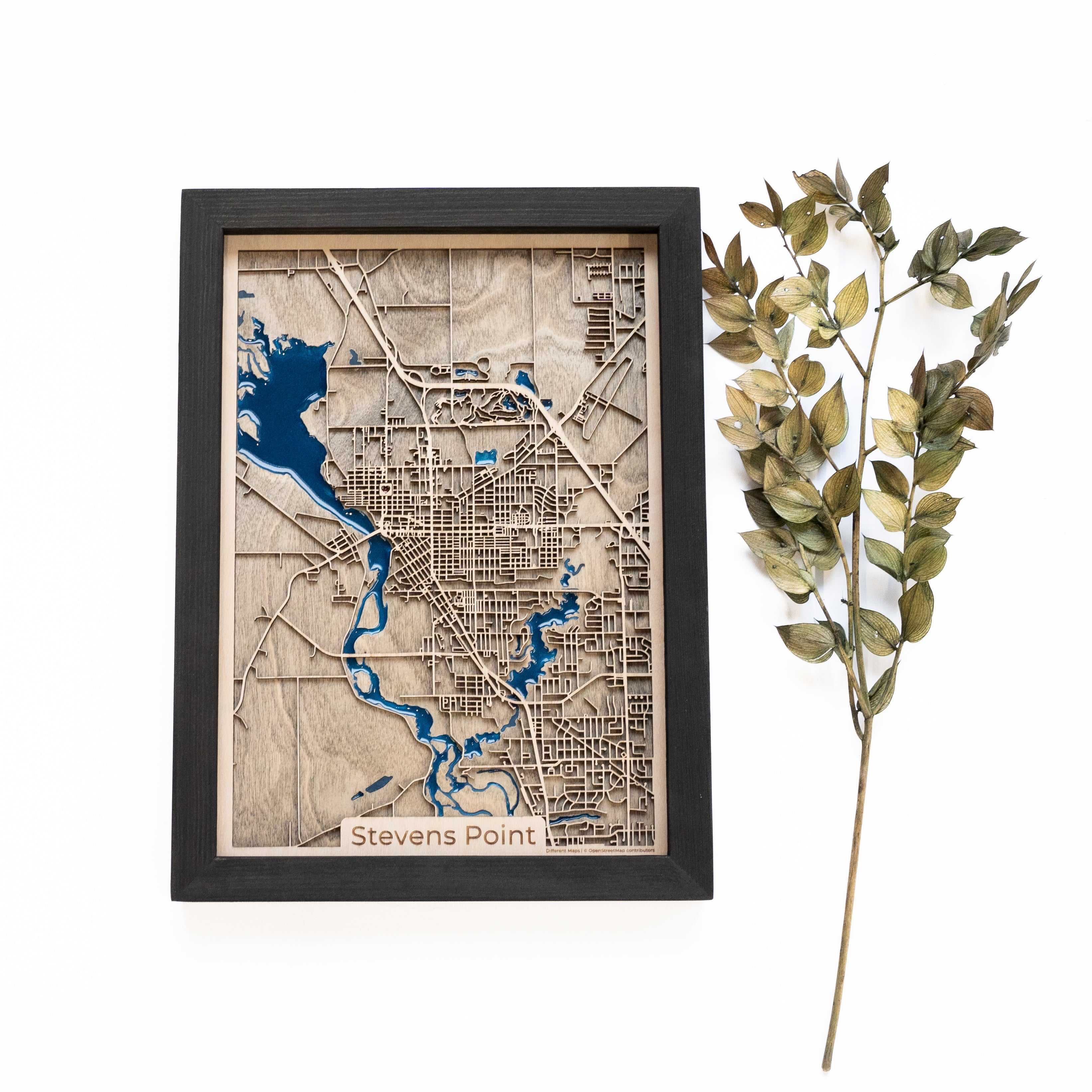 Stevens Point Wood Map