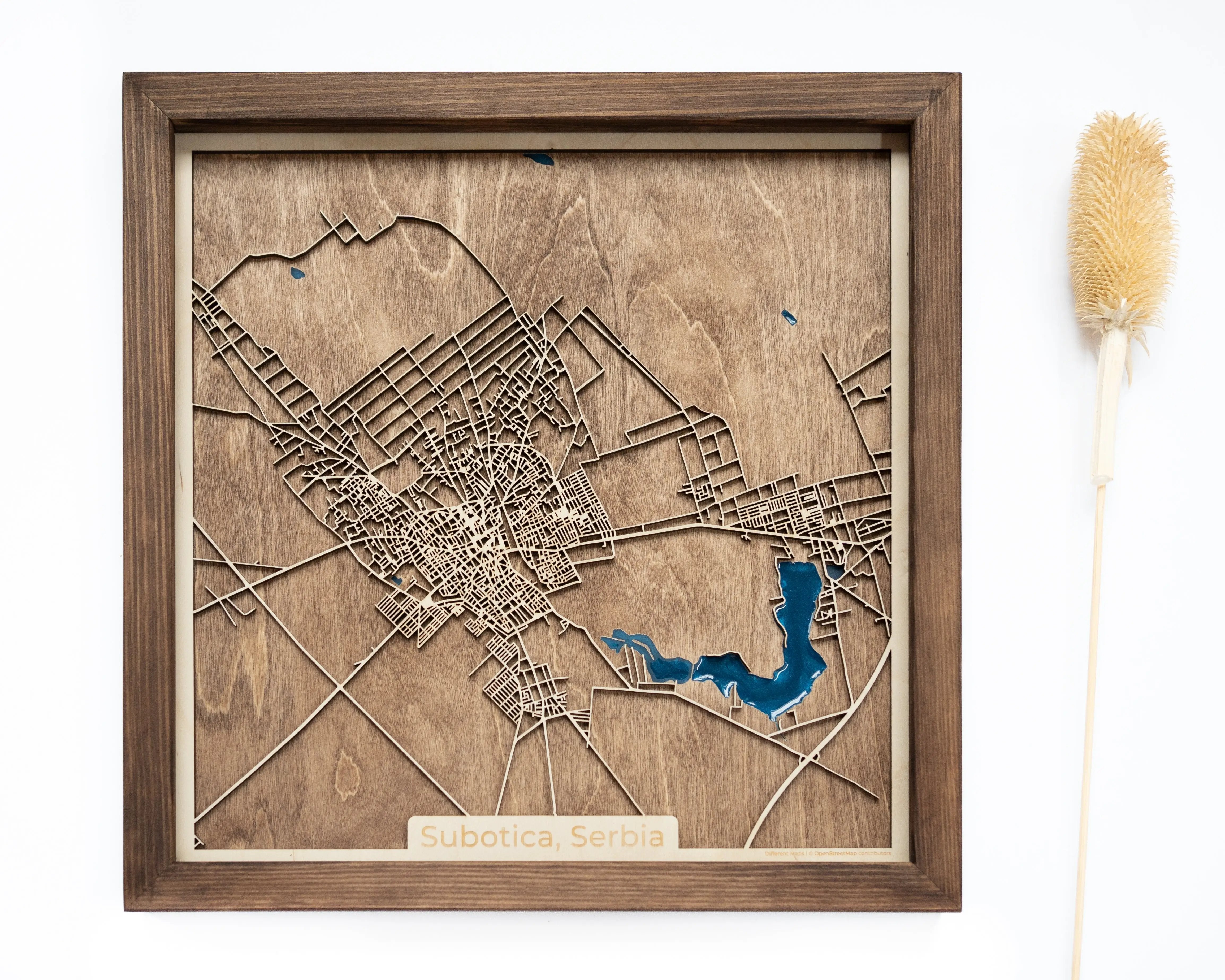 Subotica Wood Map
