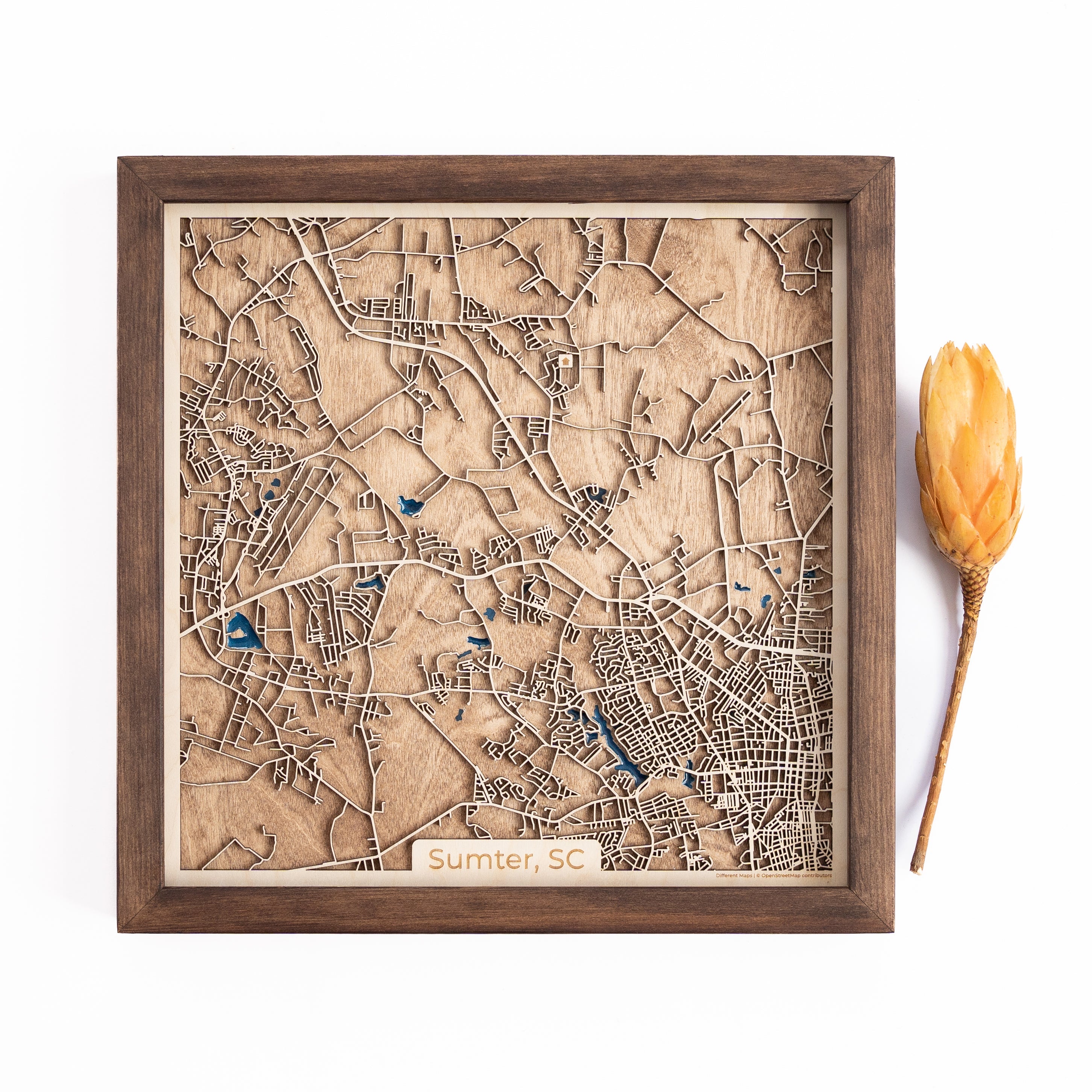 Sumter Wood Map