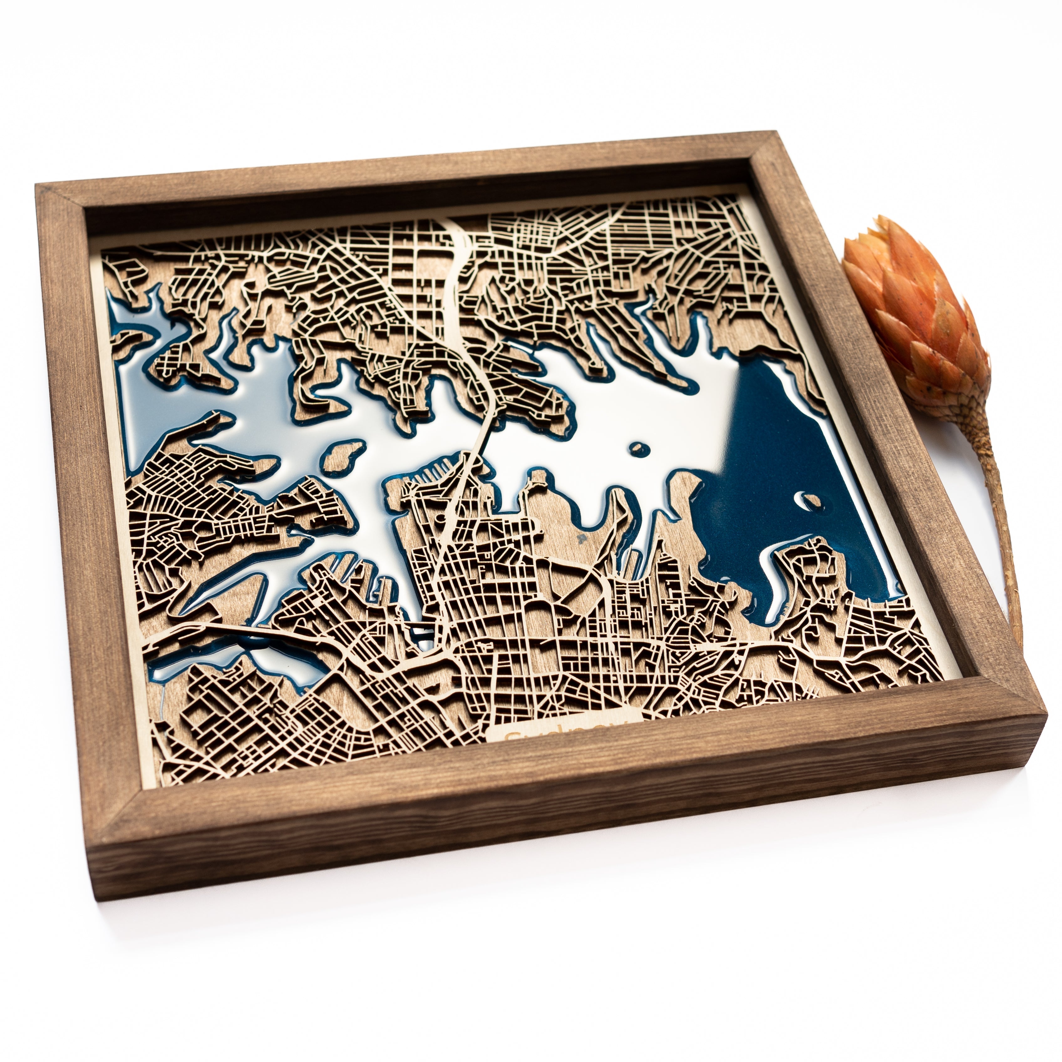 Sydney Map