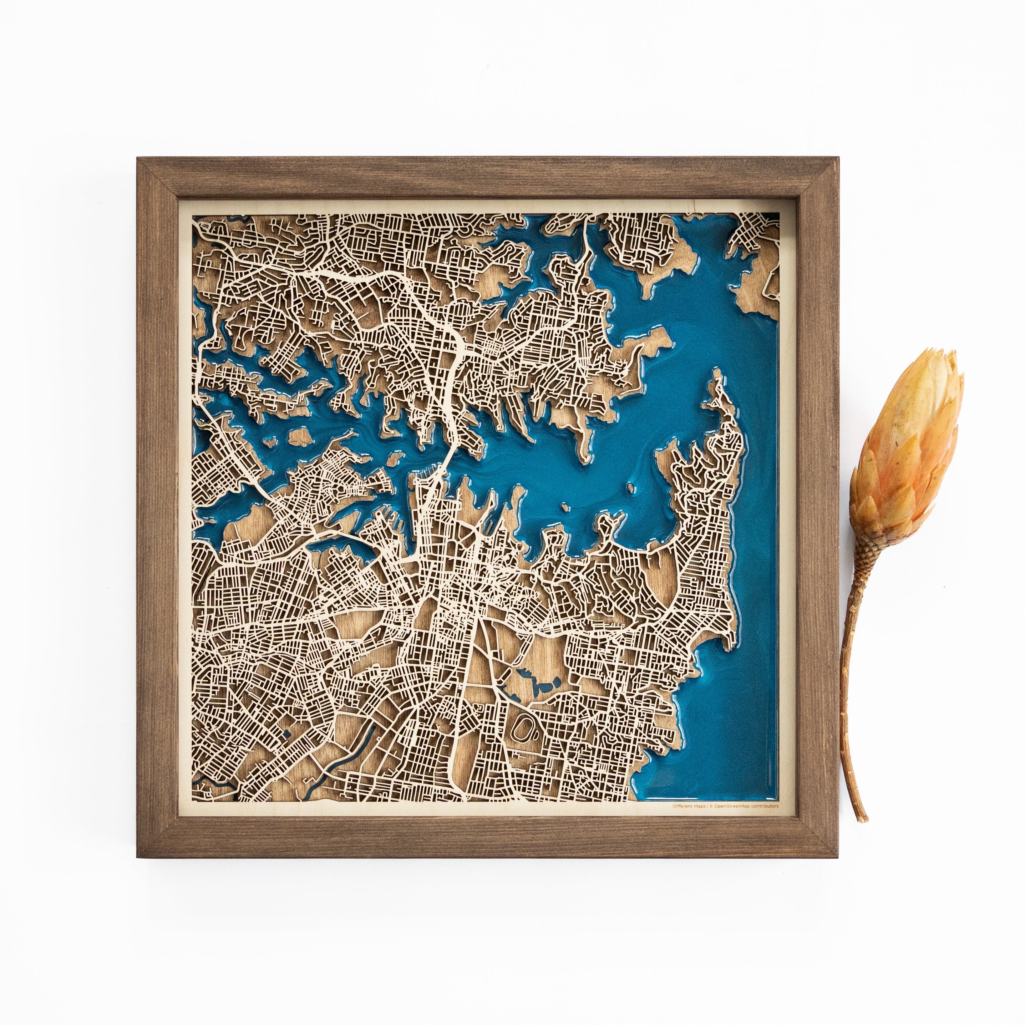 Sydney Wooden Map