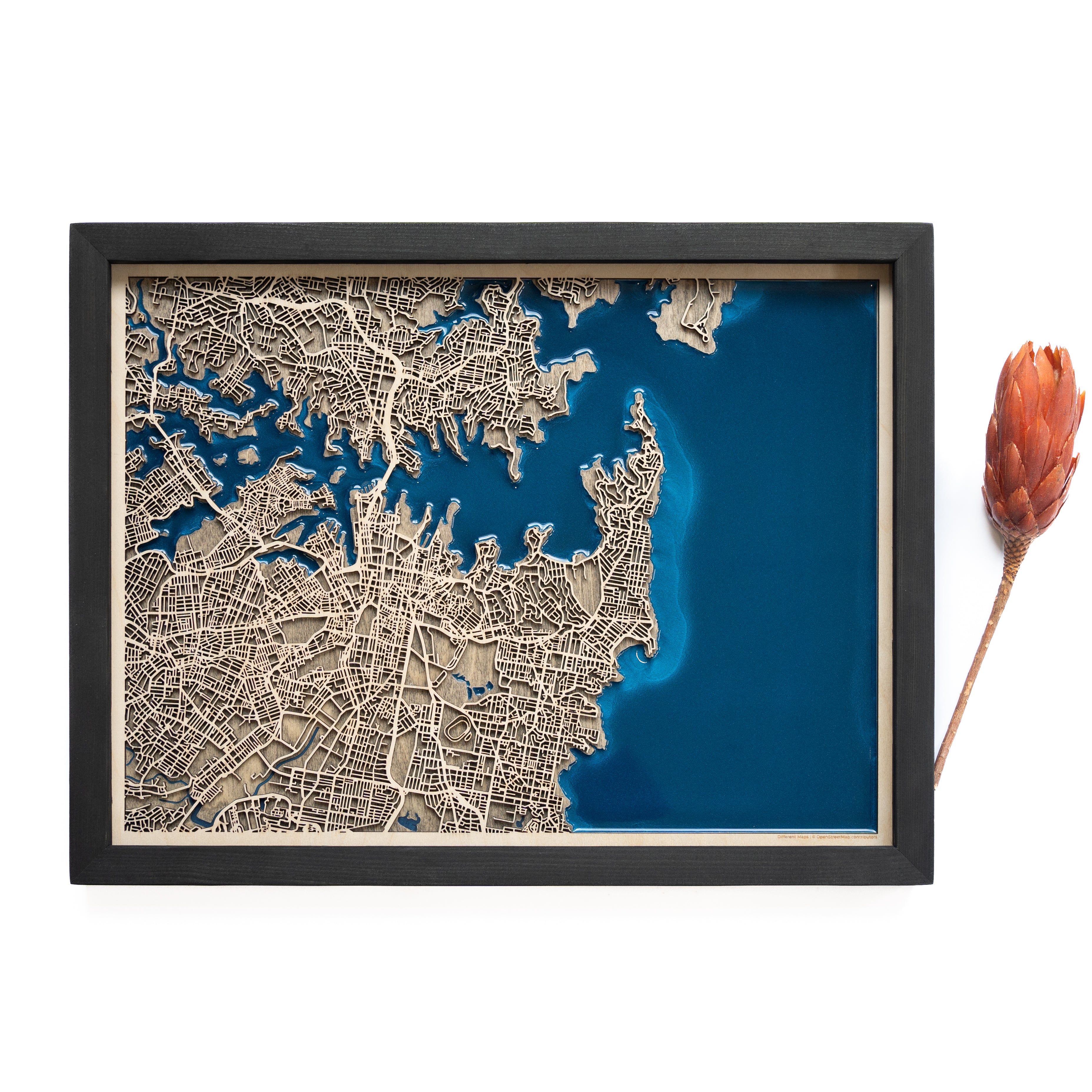 Sydney Wood Map