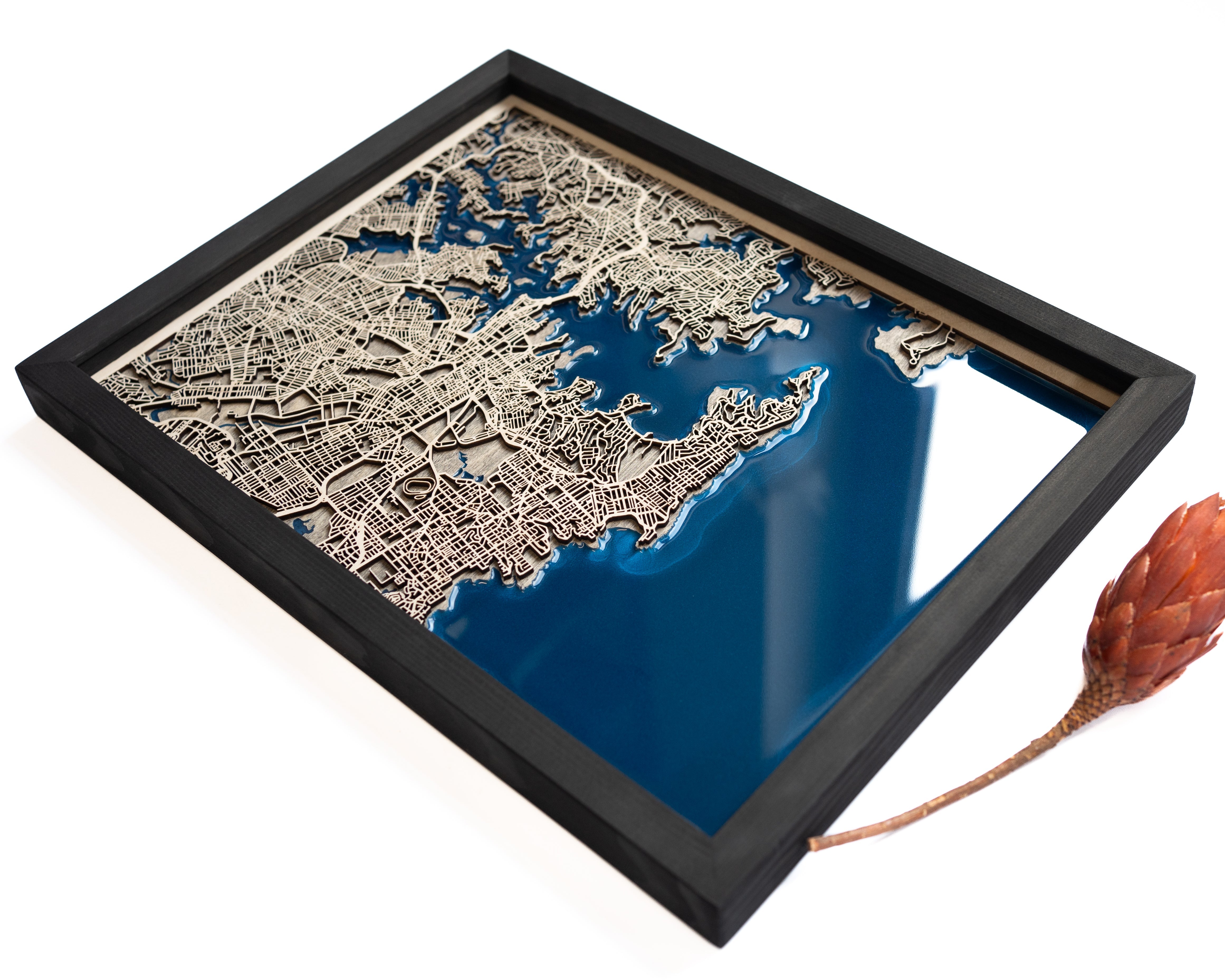 Sydney Map