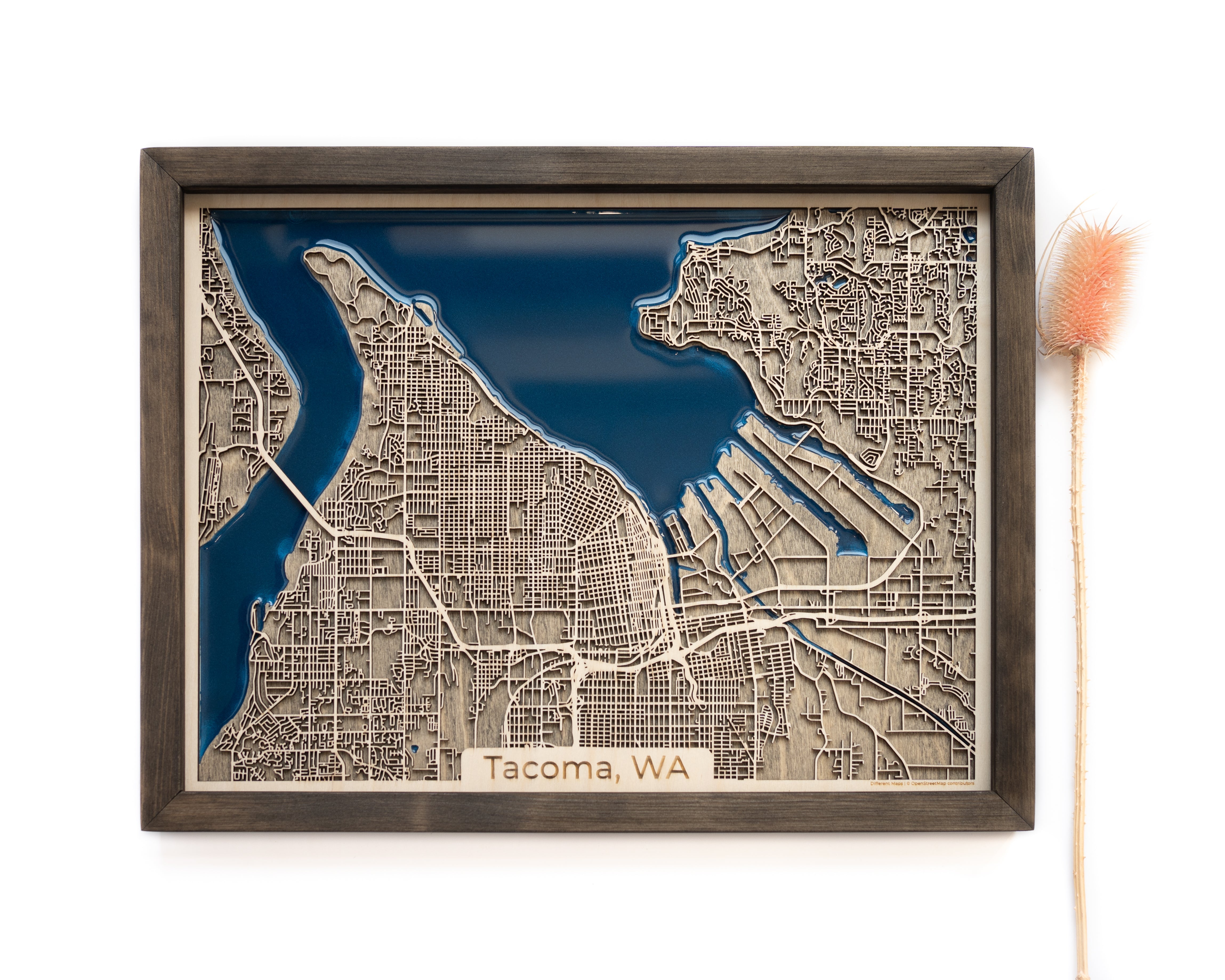 Tacoma Wood Map