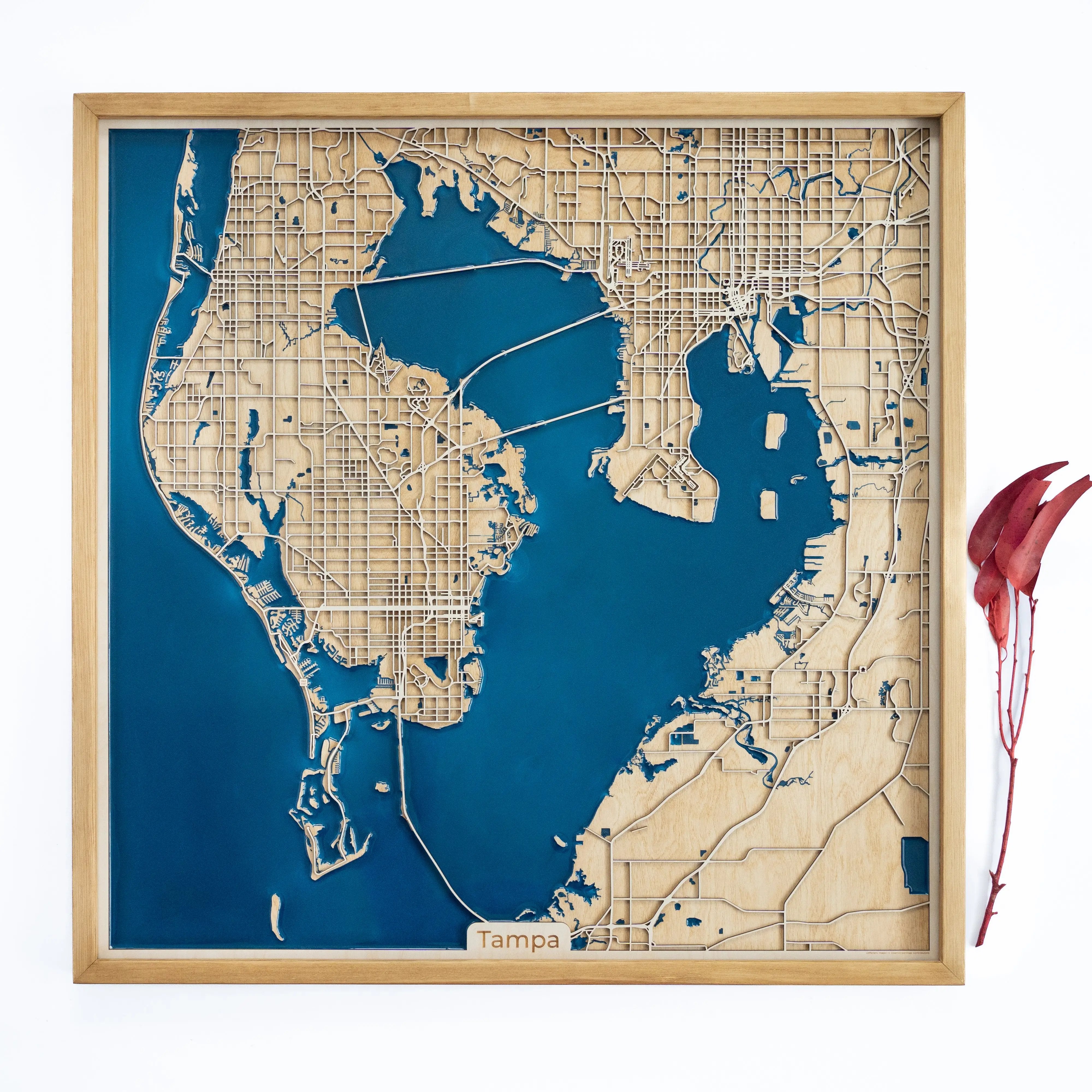 Tampa Bay Map