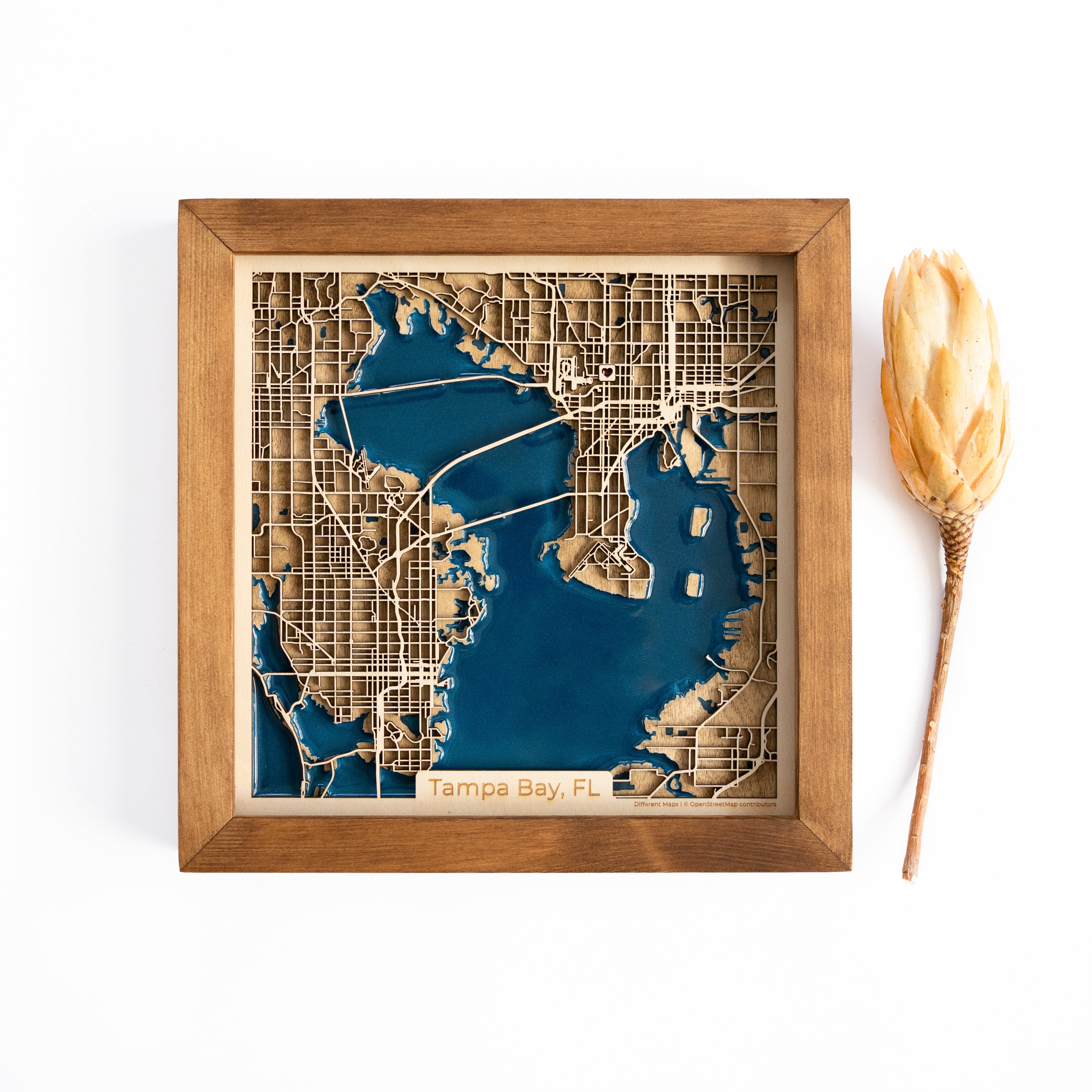 Tampa Bay Woden Map