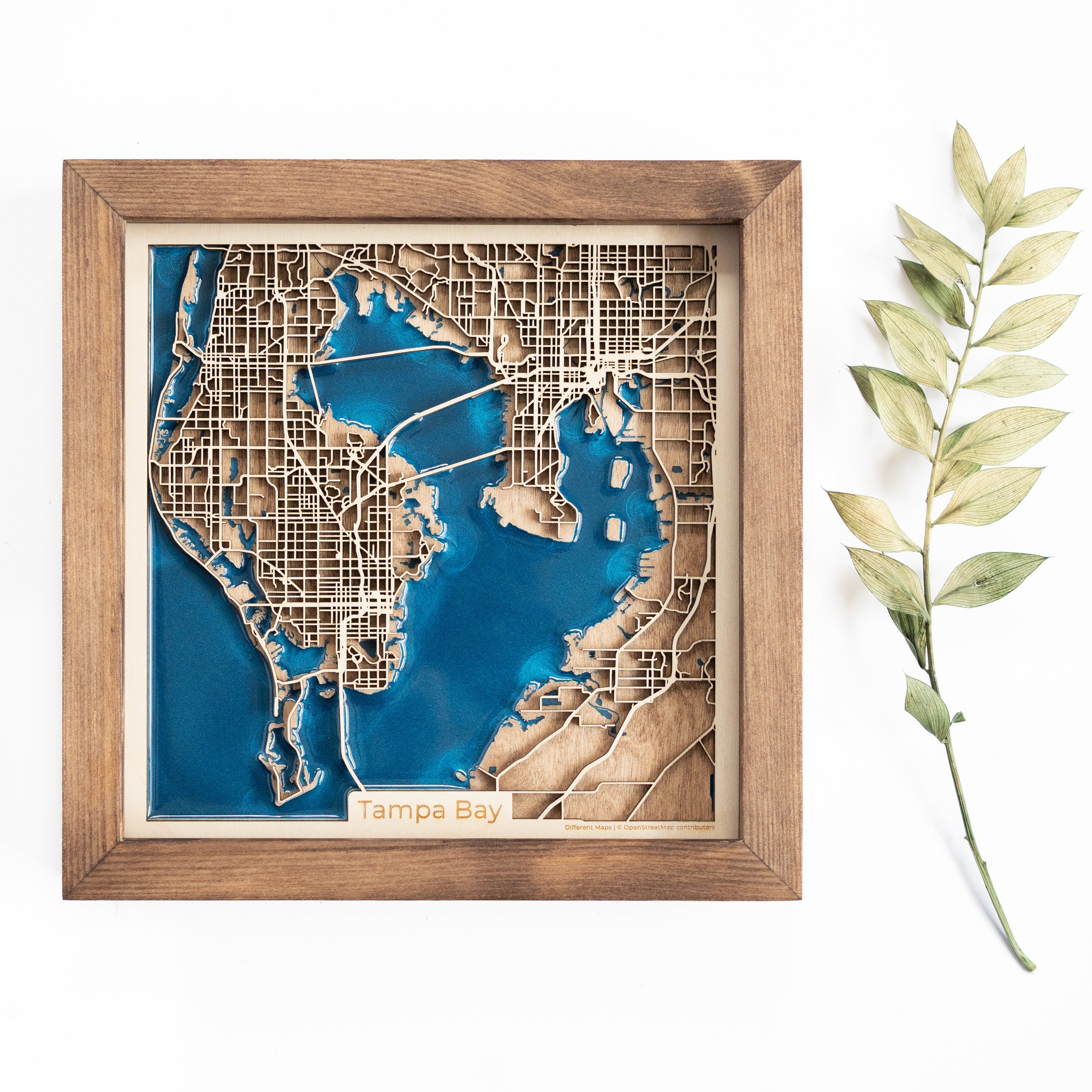 Tampa Bay Wood Map
