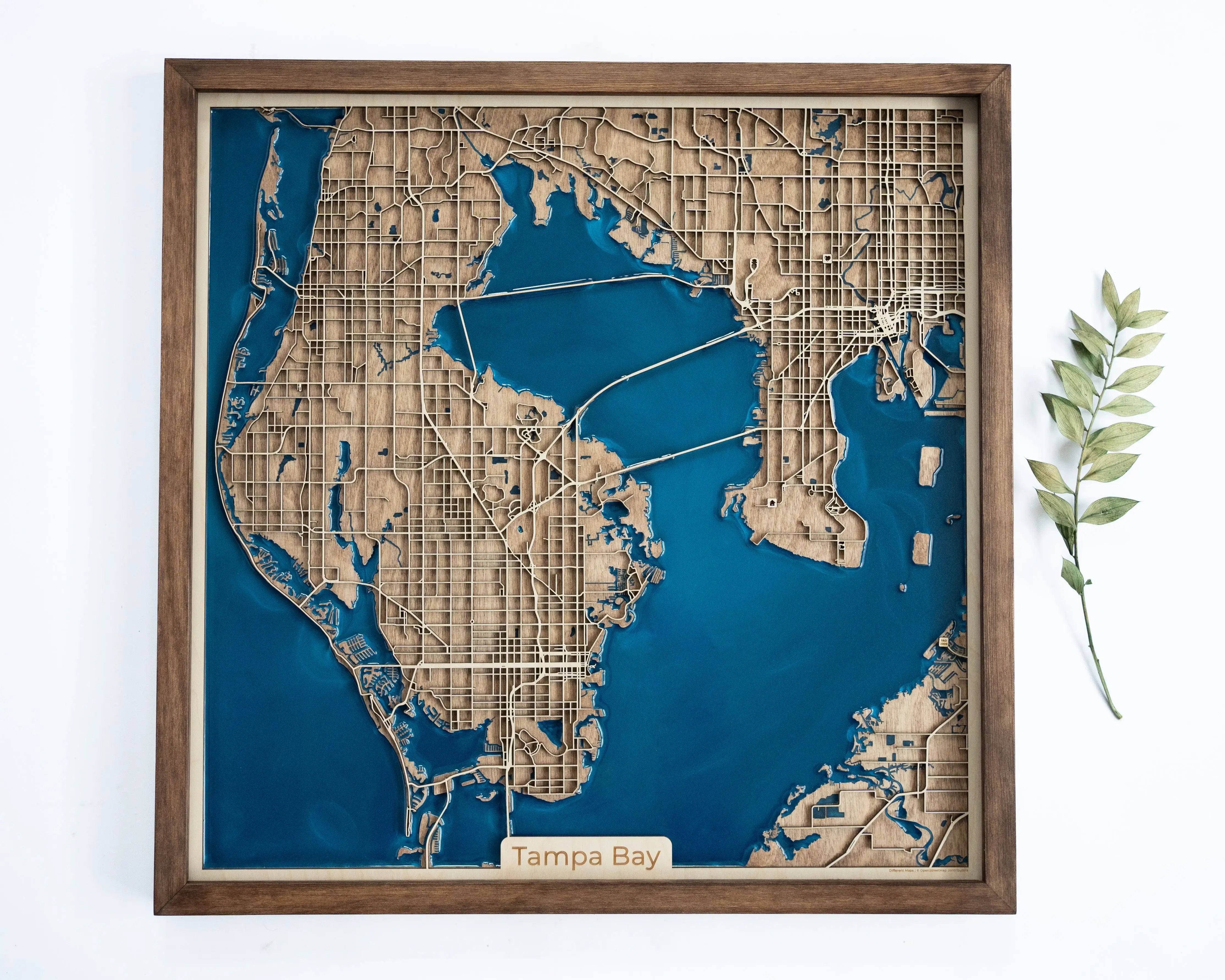Tampa Bay Wood Map