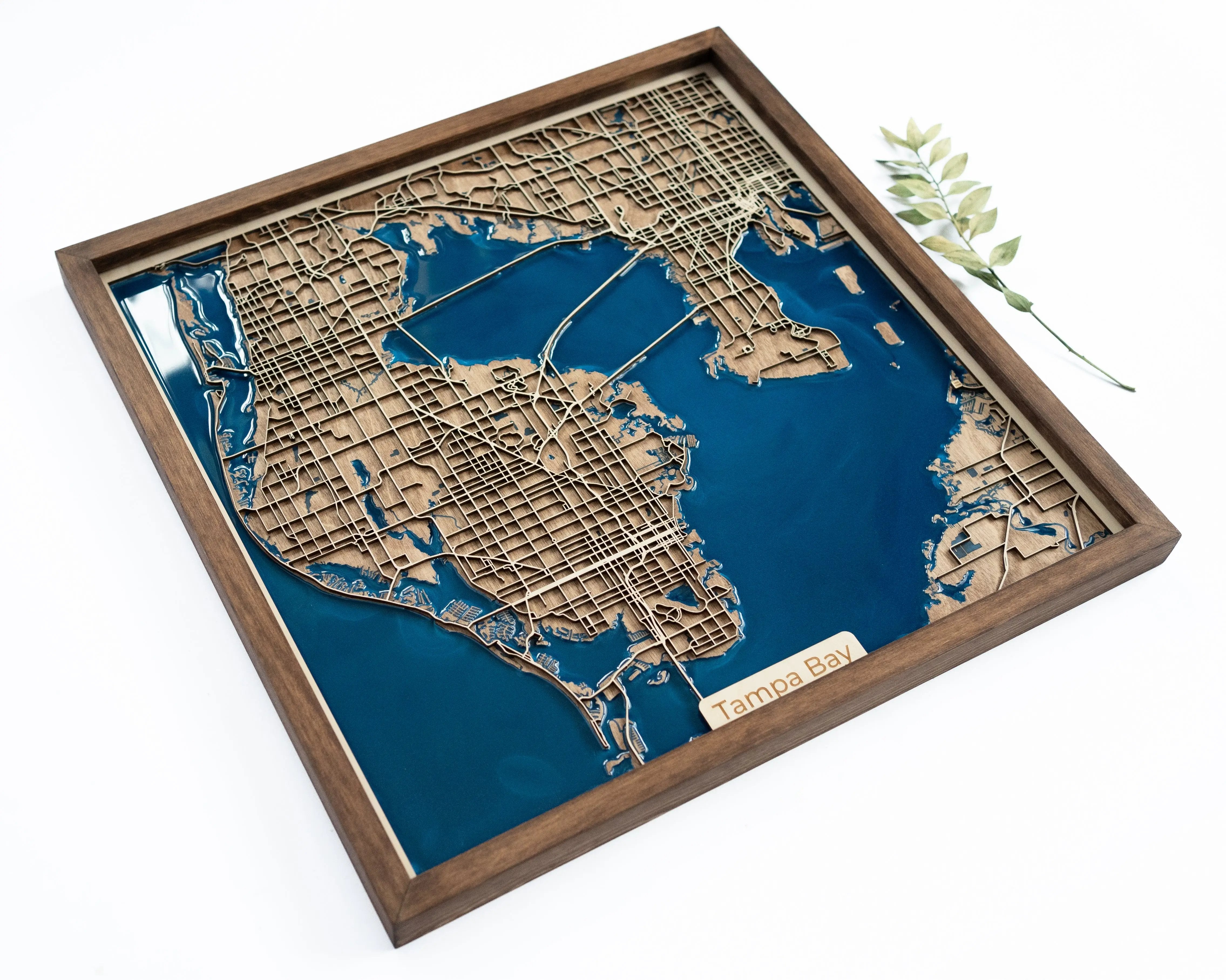 Tampa Bay Map