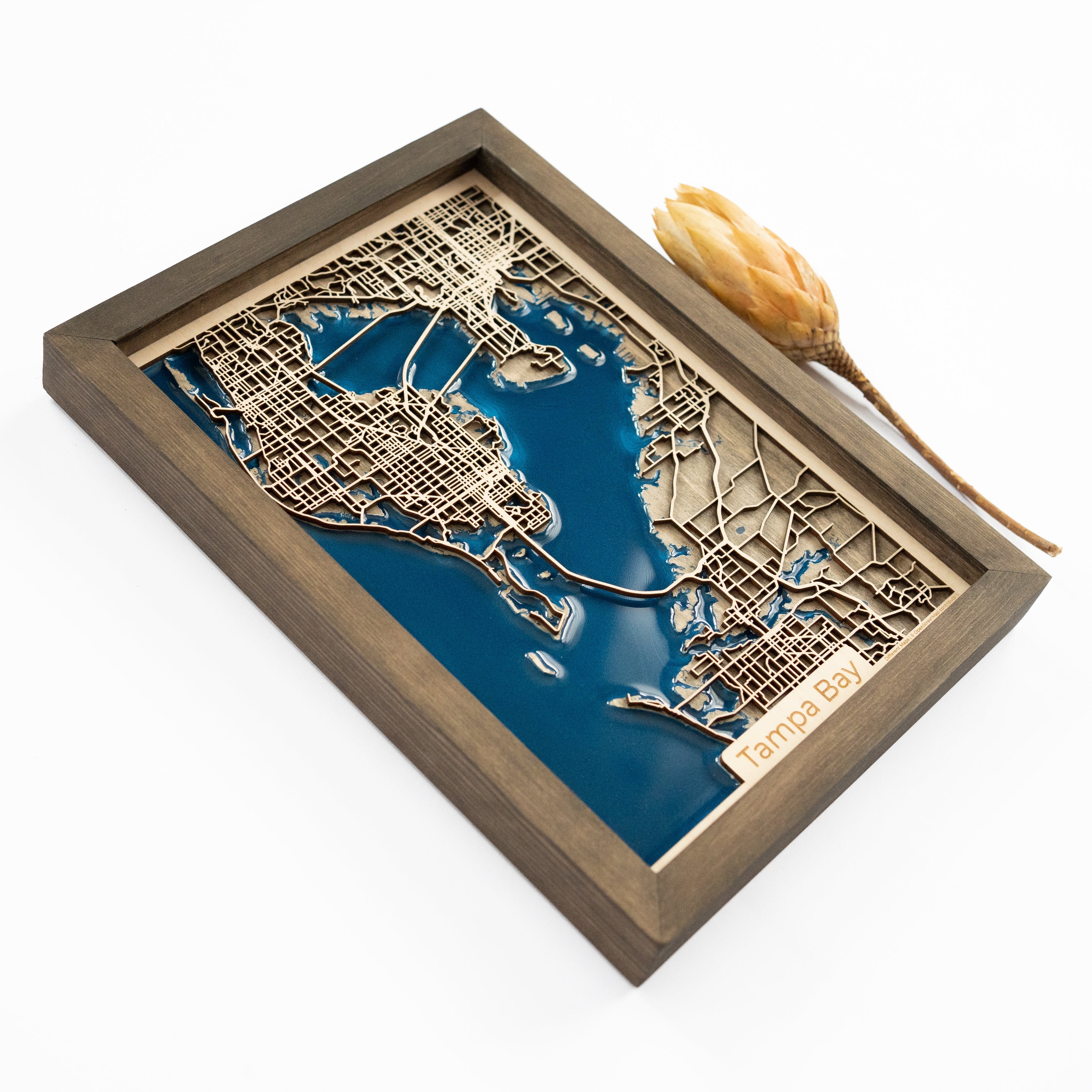 Tampa Bay Map
