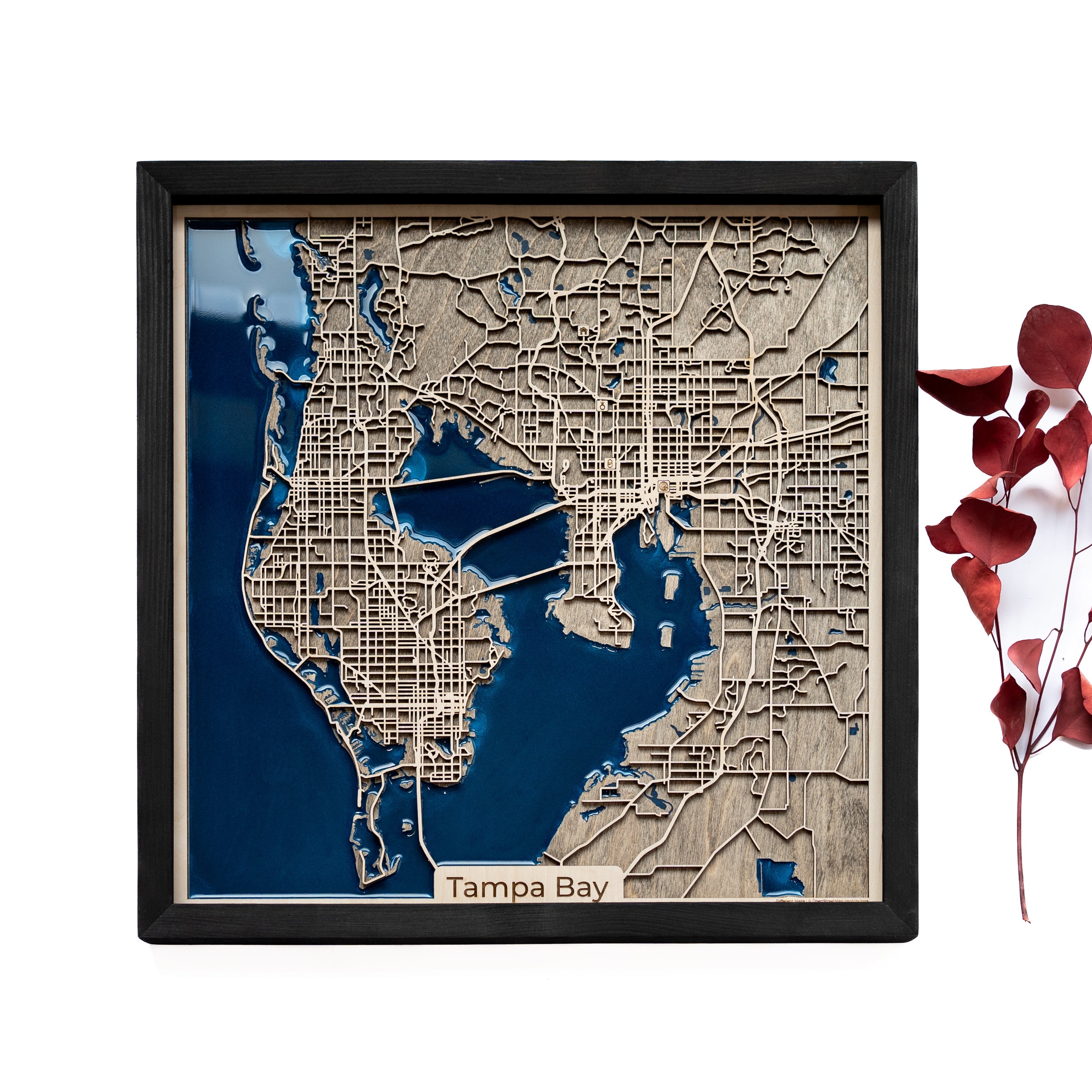 Tampa Bay Map