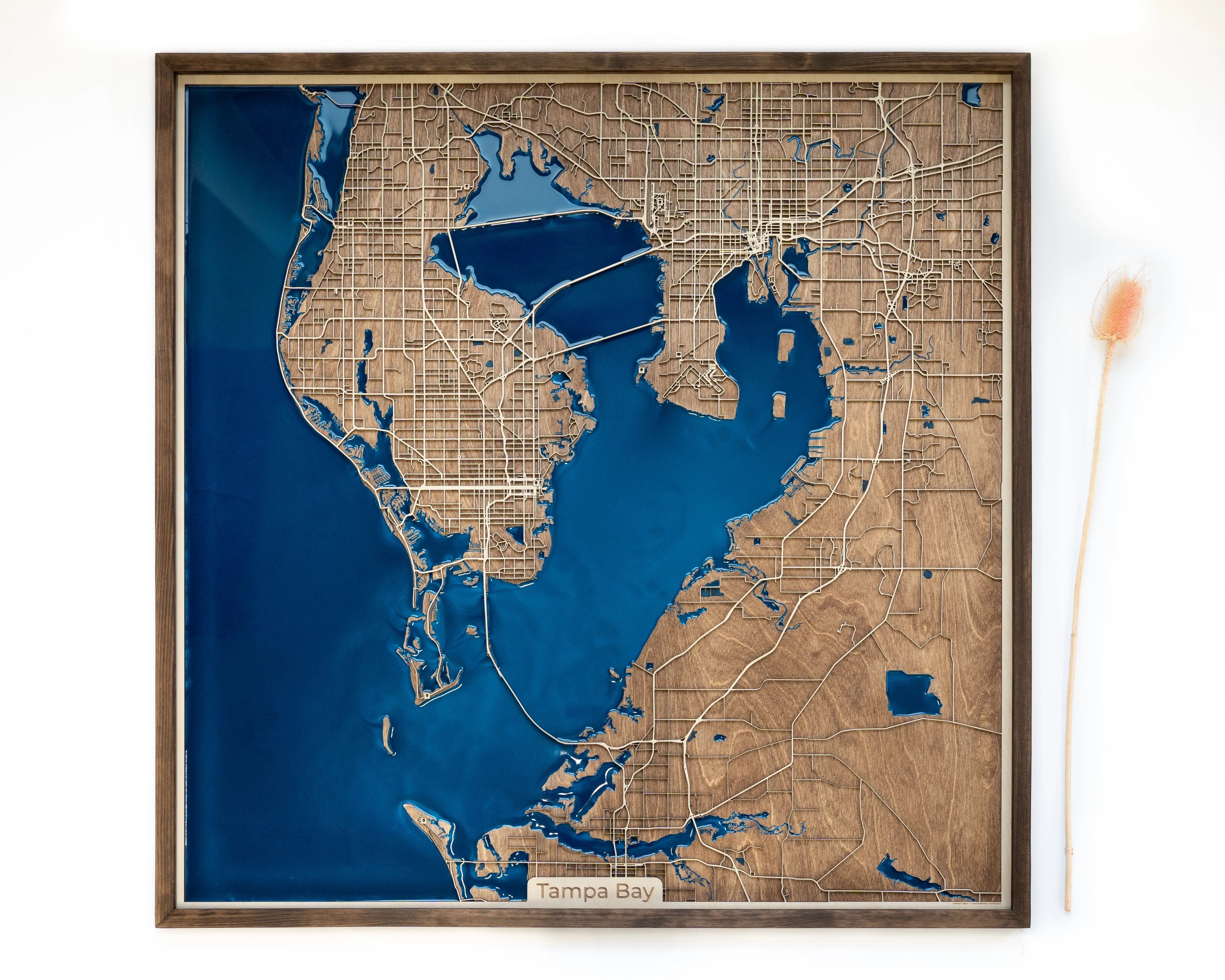 Tampa Bay unique Map