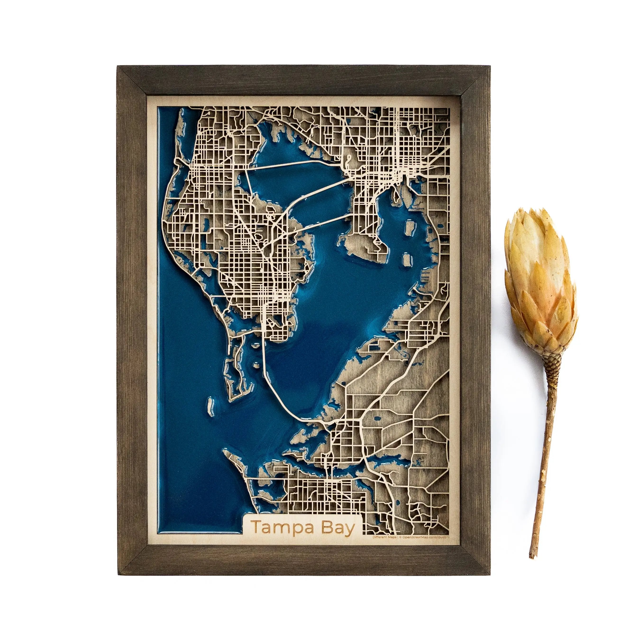 Tampa Bay Map