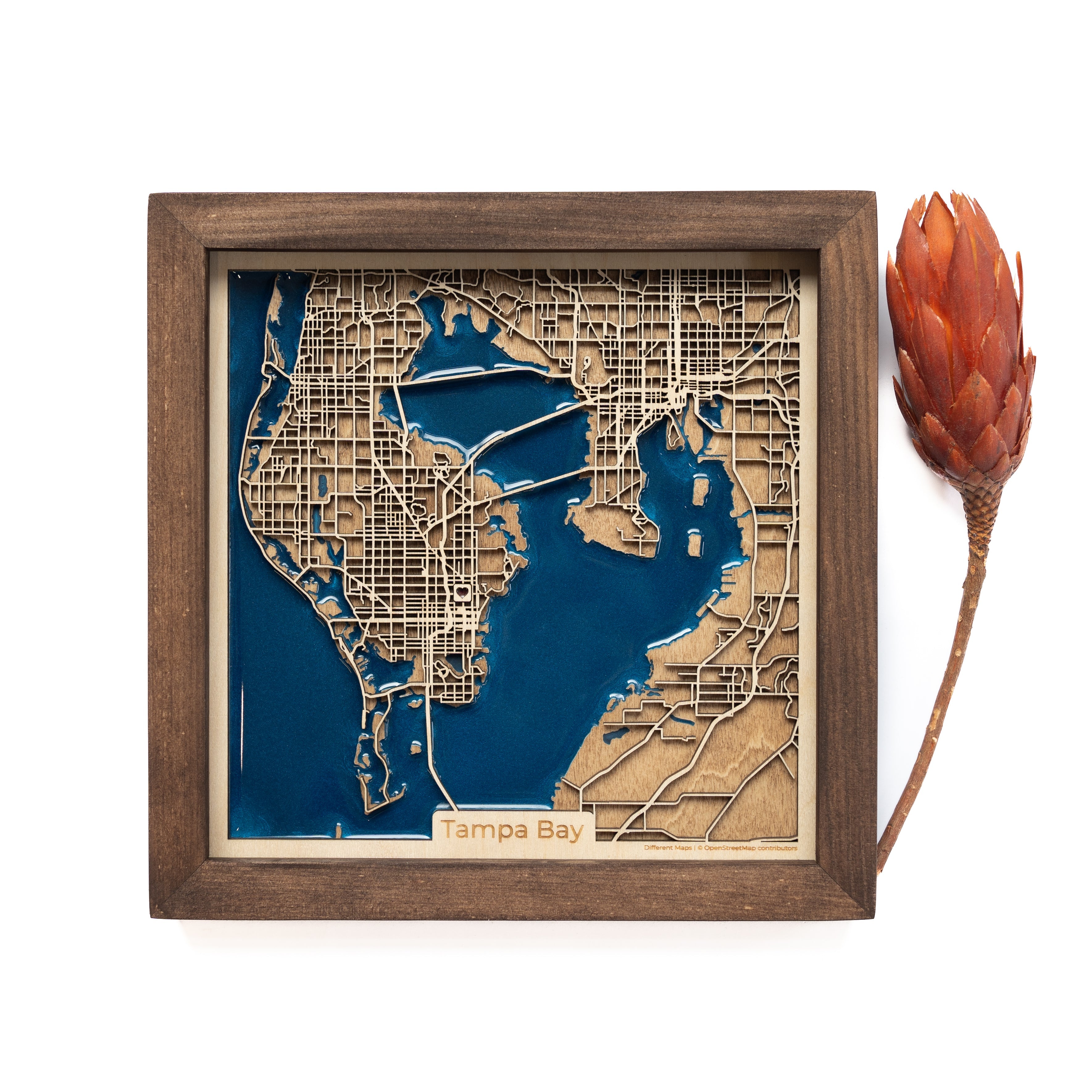 Tampa Bay Map