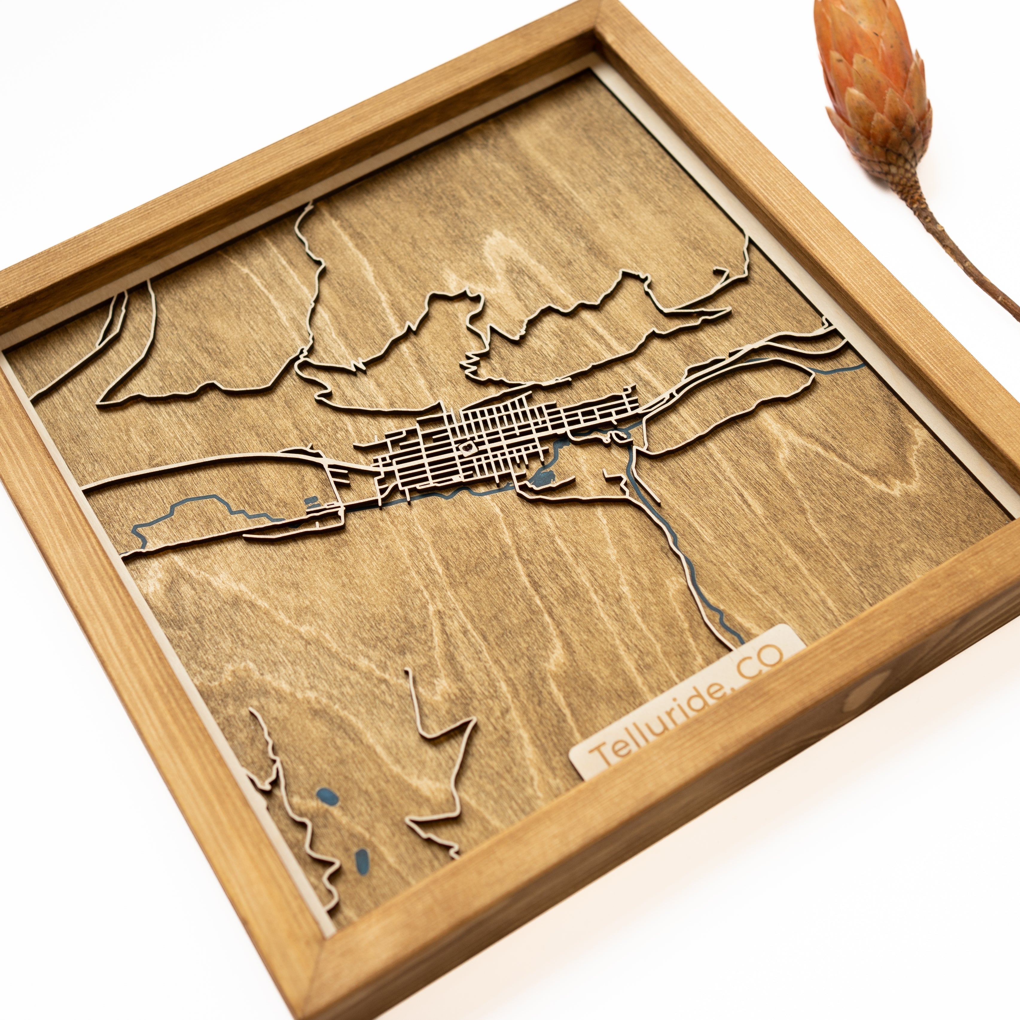Telluride Map
