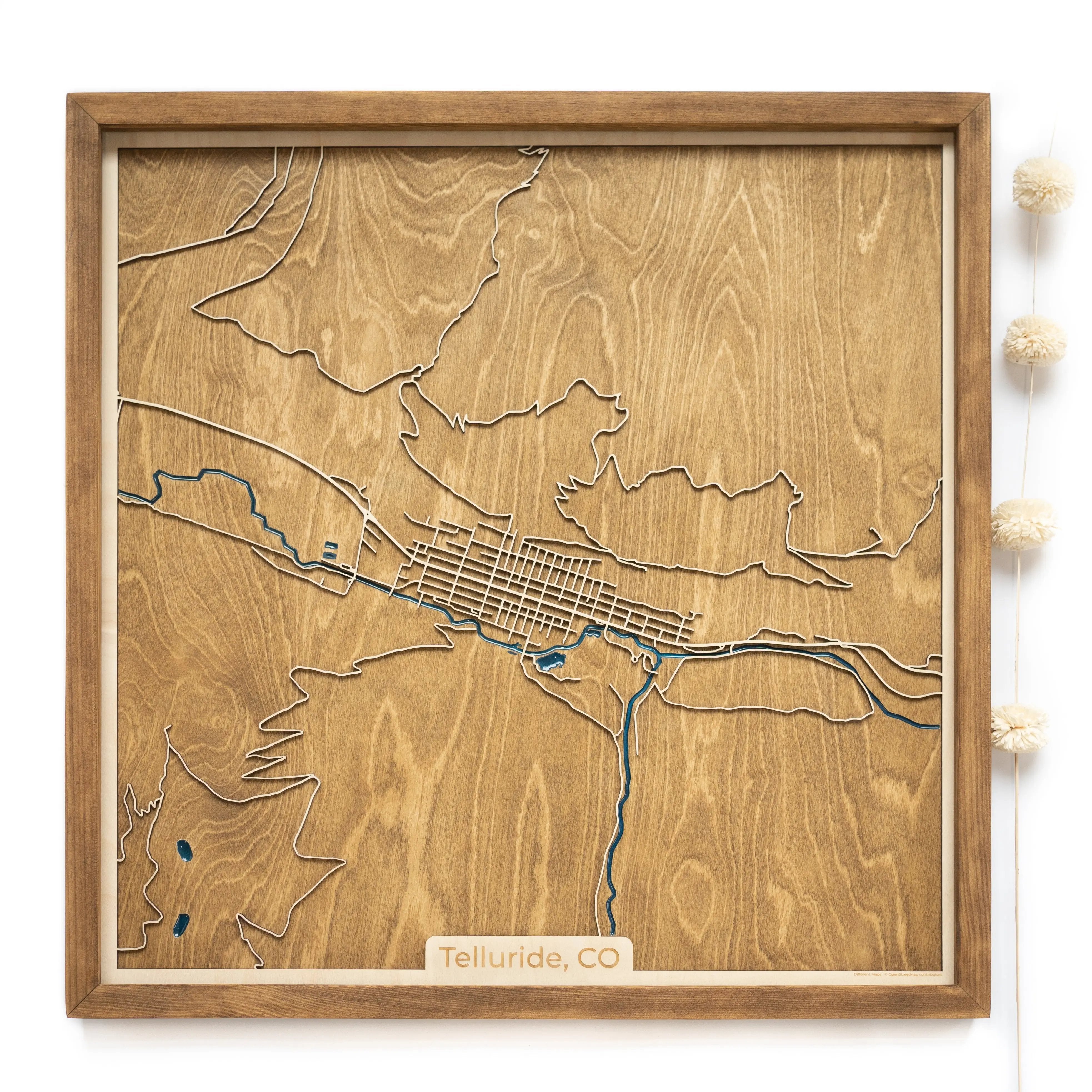 Telluride Wood Map