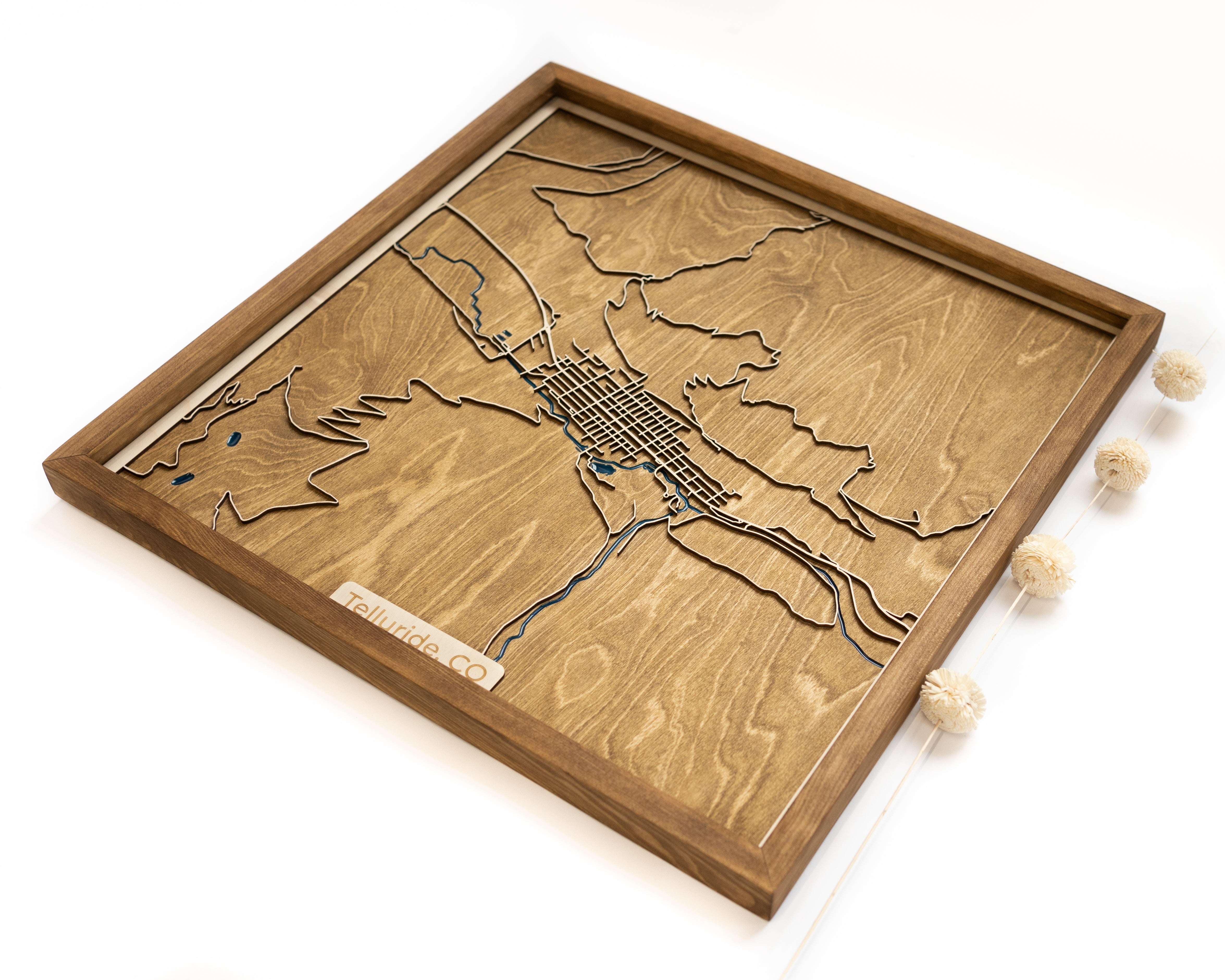 Telluride Map
