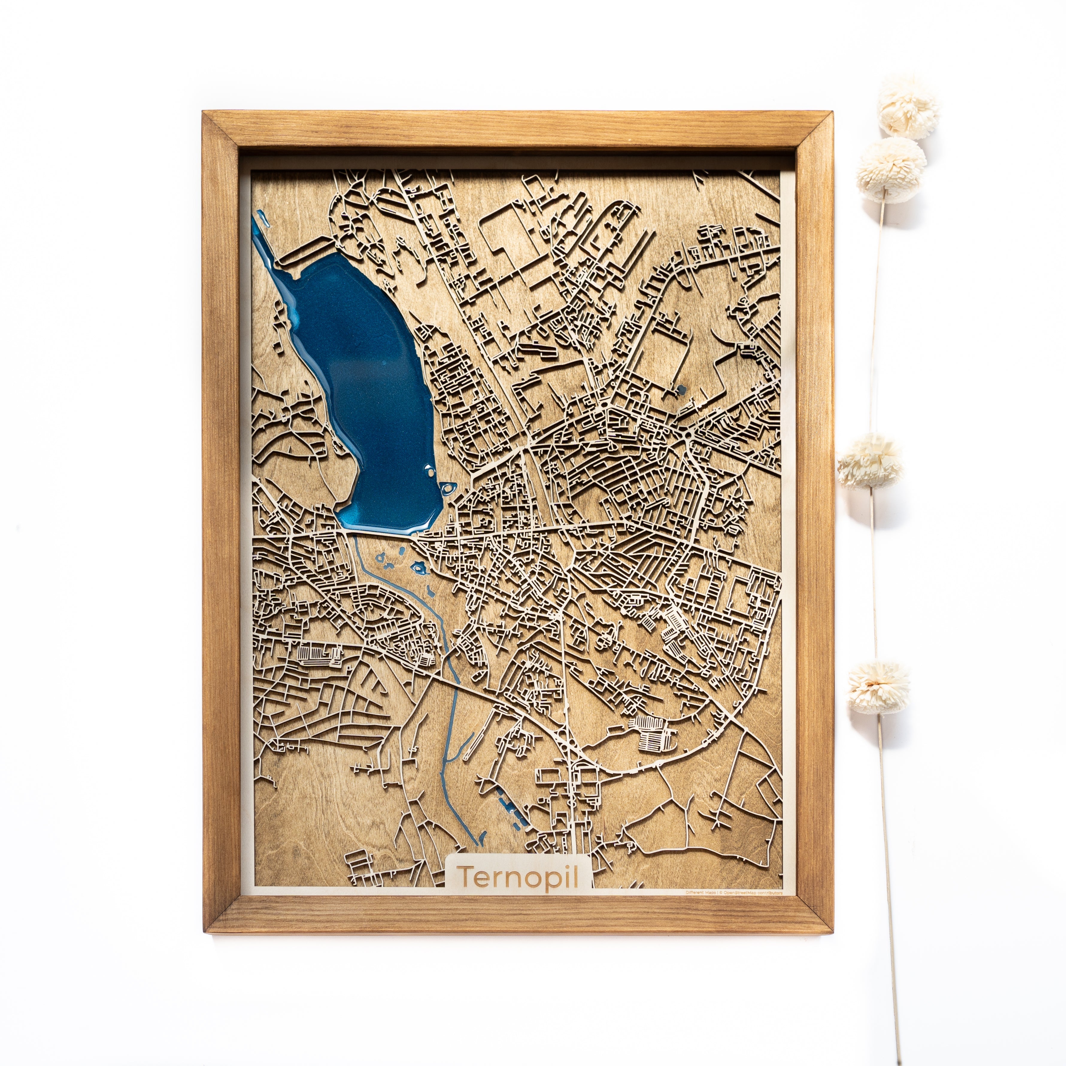 Ternopil Wood Map
