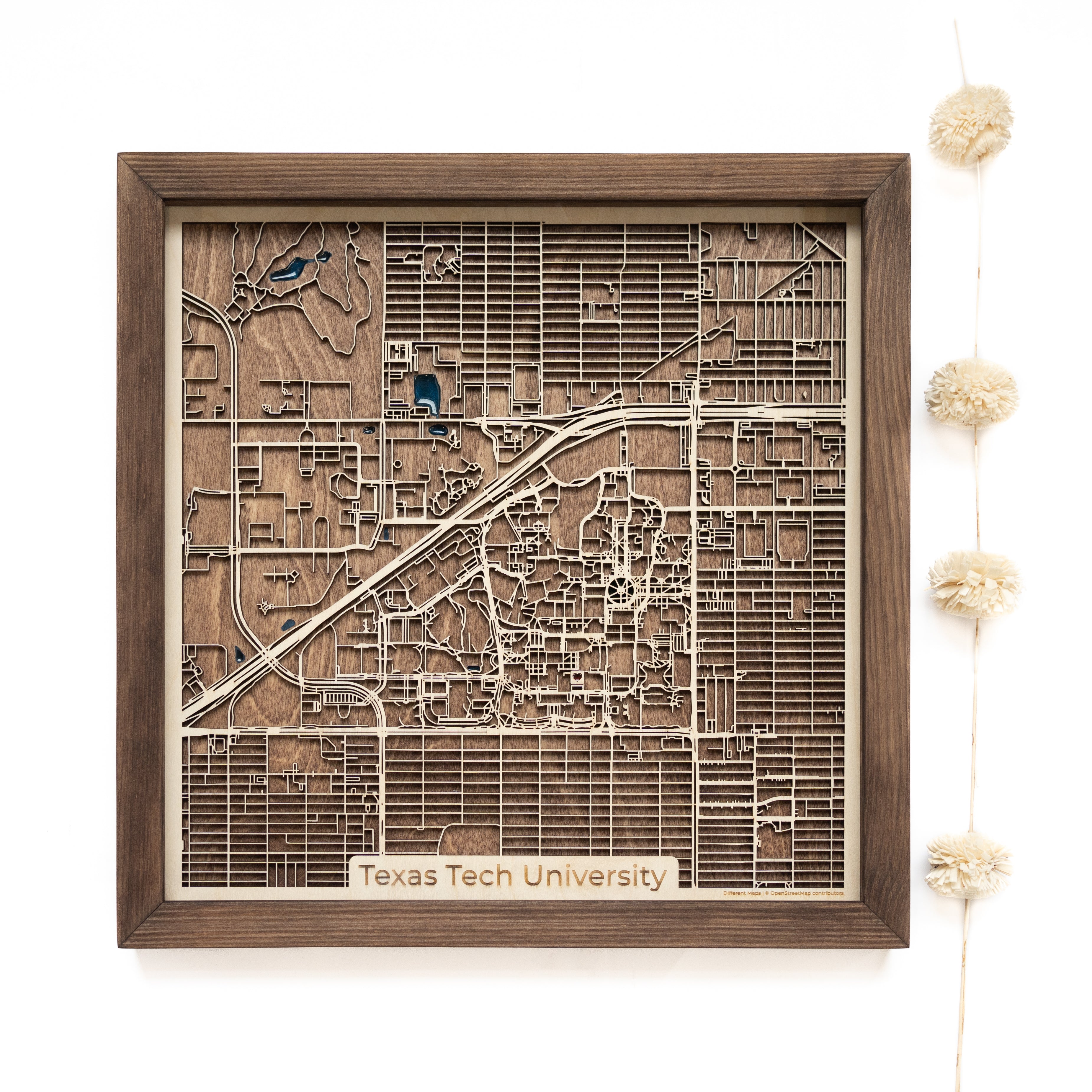 Texas Tech University Wood Map
