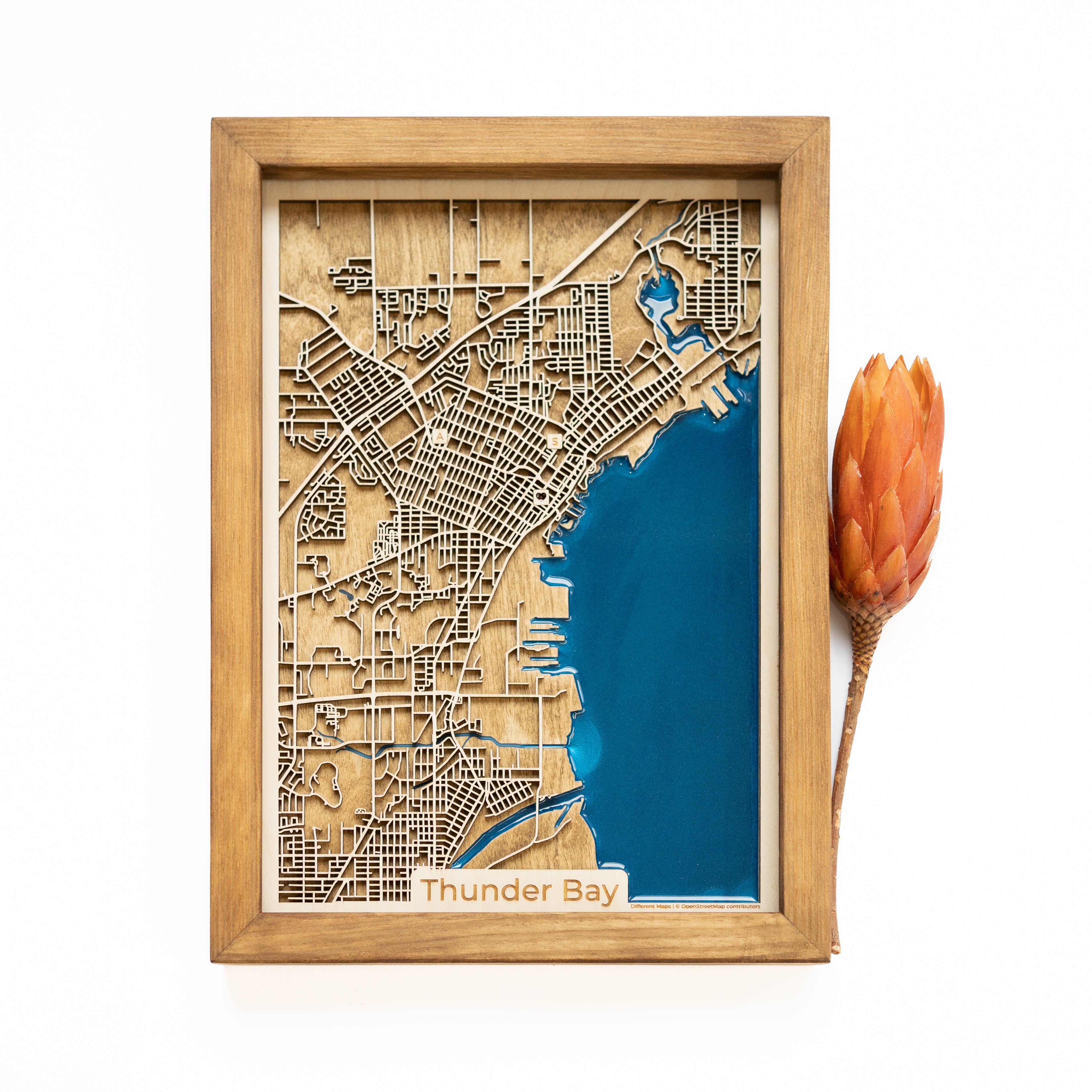 Thunder Bay Wood Map