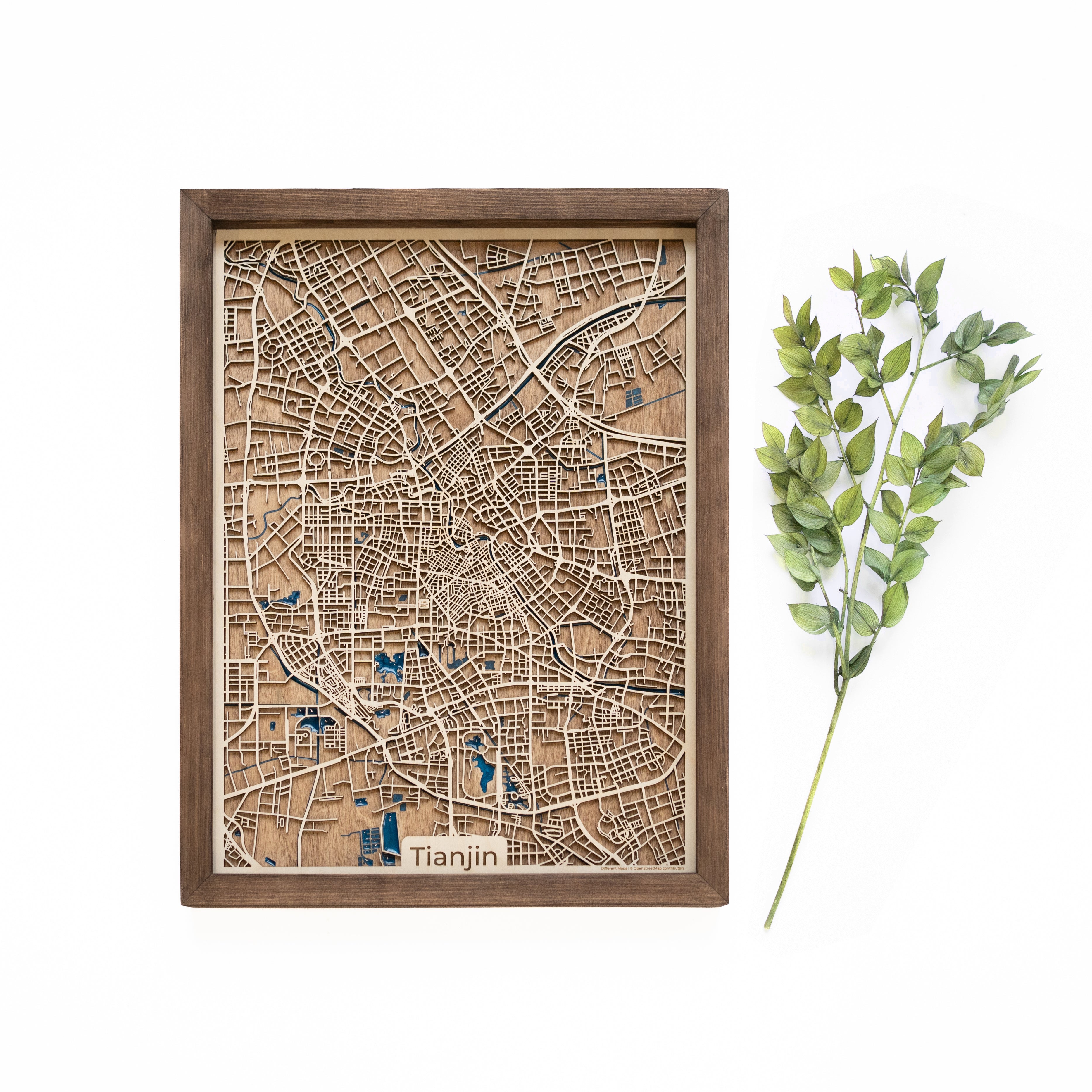 Tianjin Wood Map