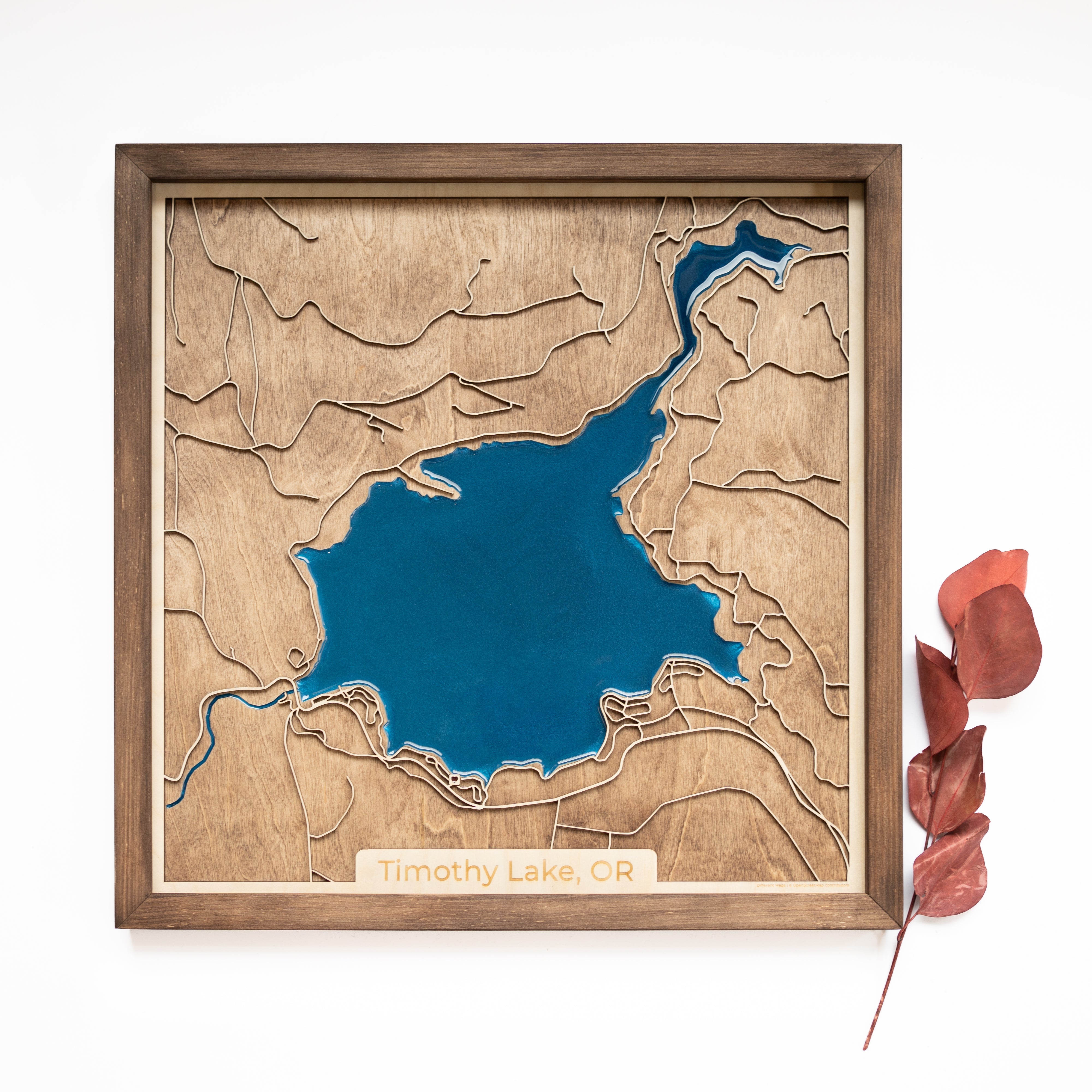 Timothy Lake Wood Map