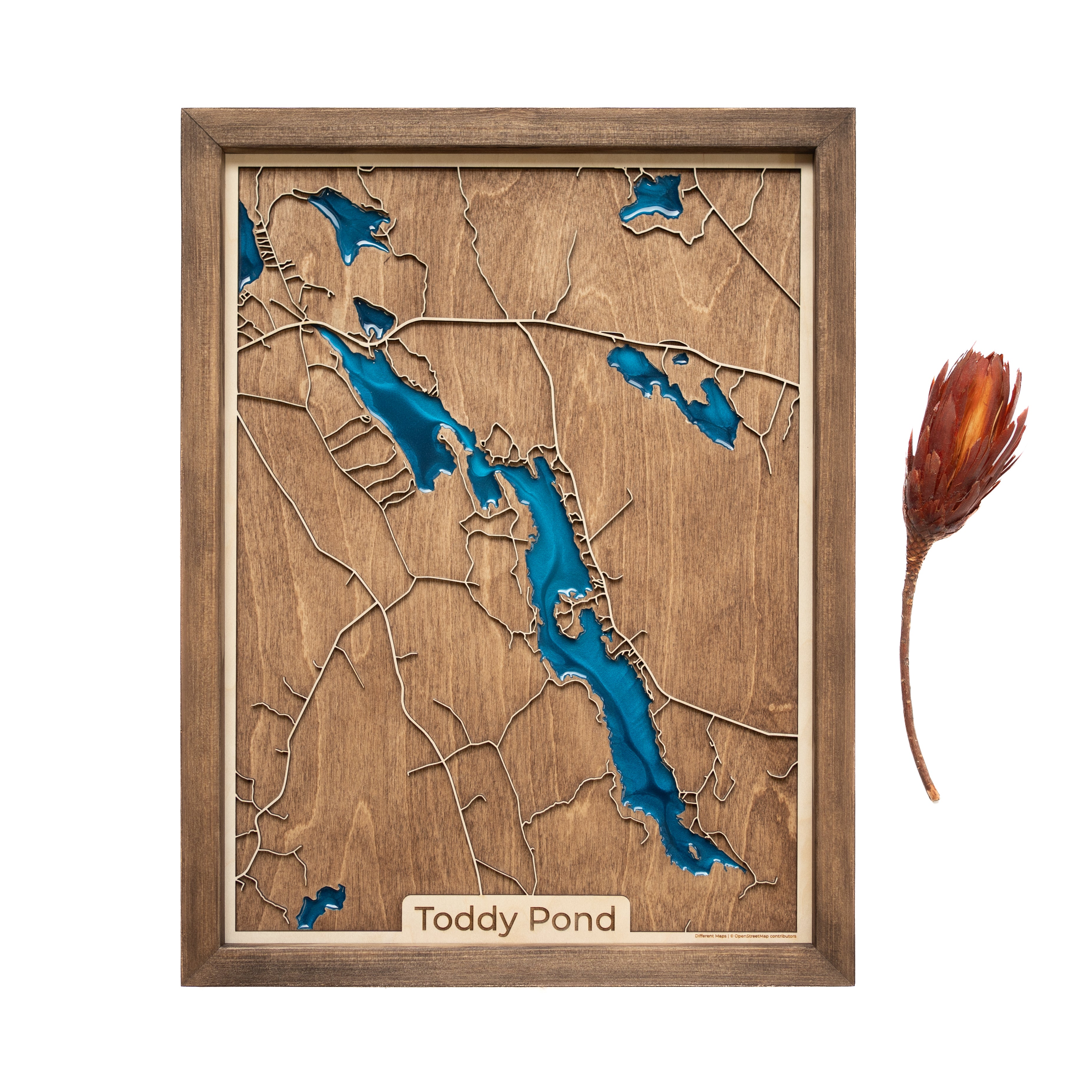 Toddy Pond ME wood Map