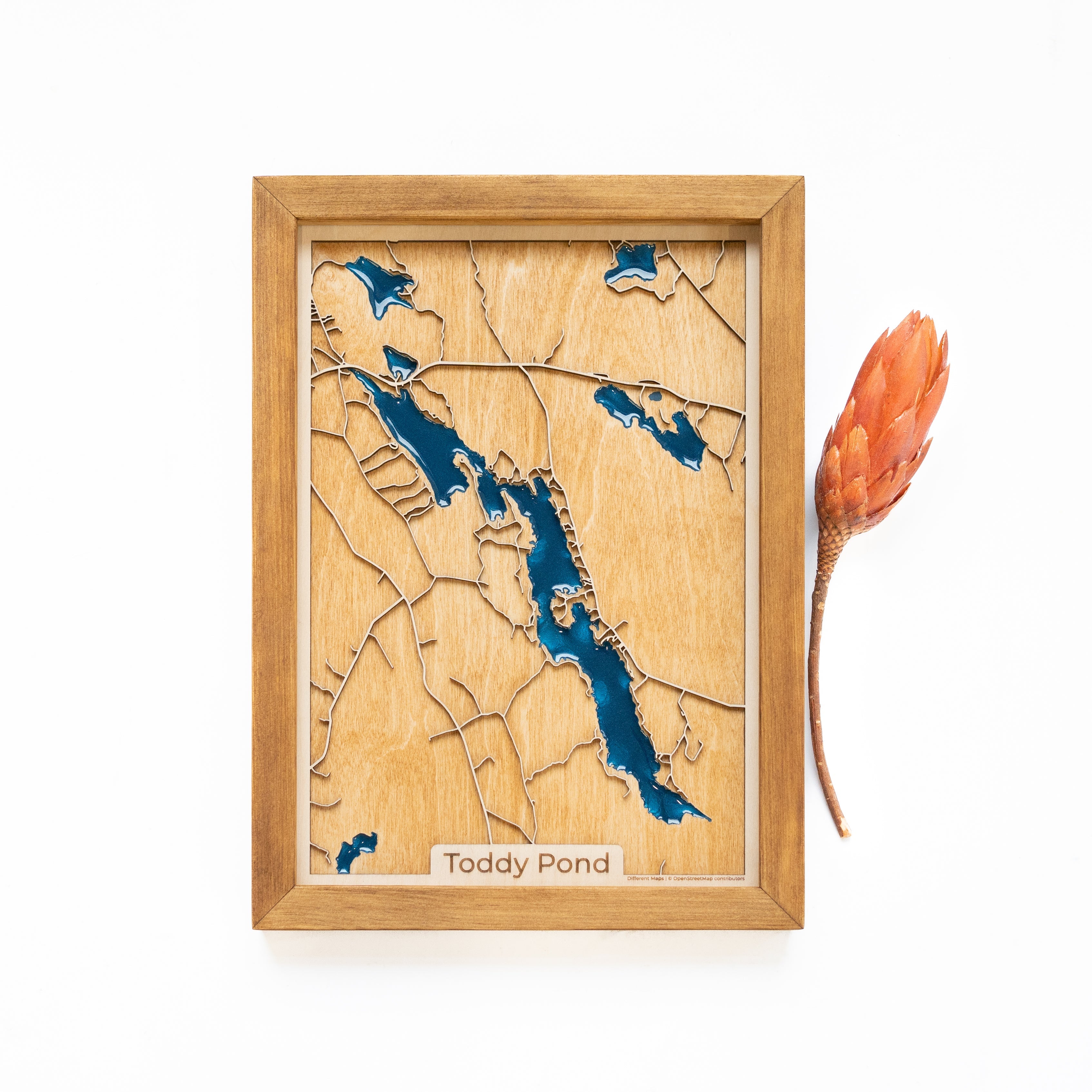 Toddy Pond Wood Map