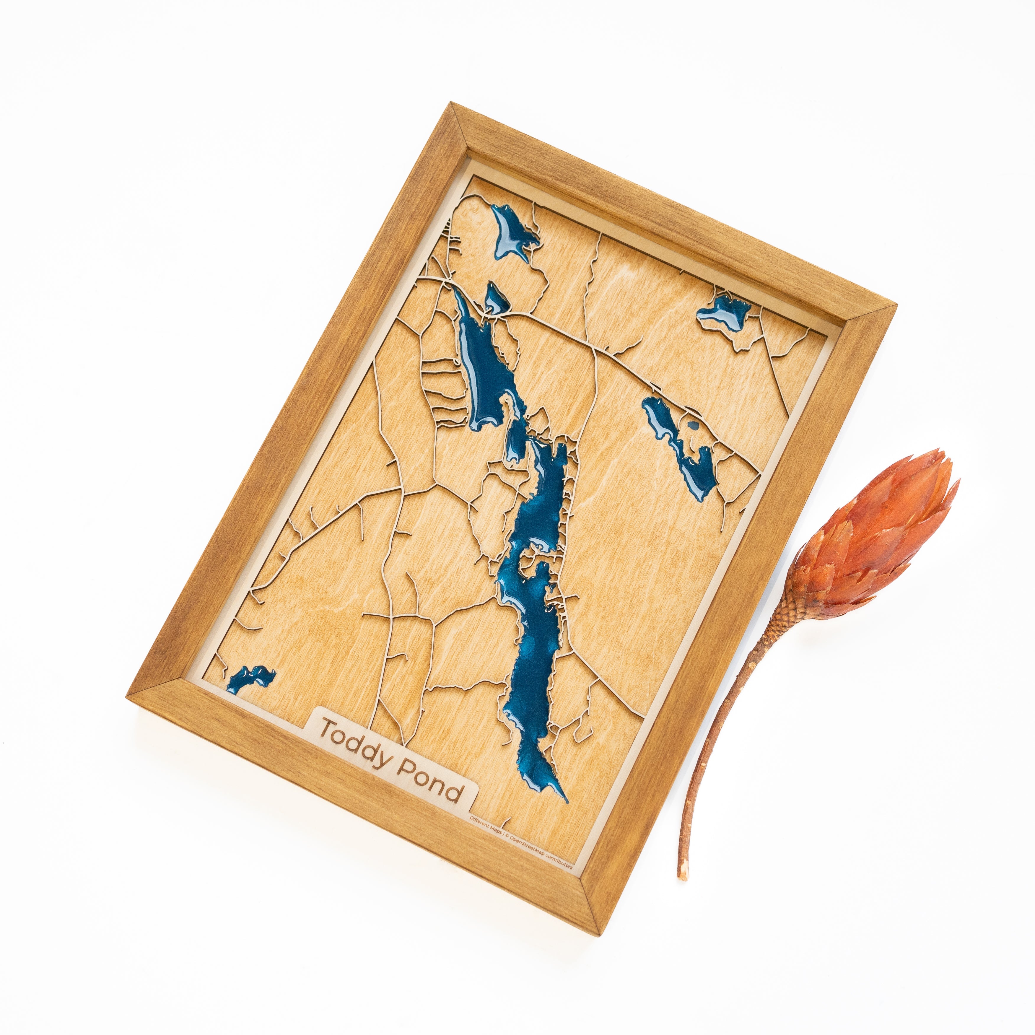 Toddy Pond Map