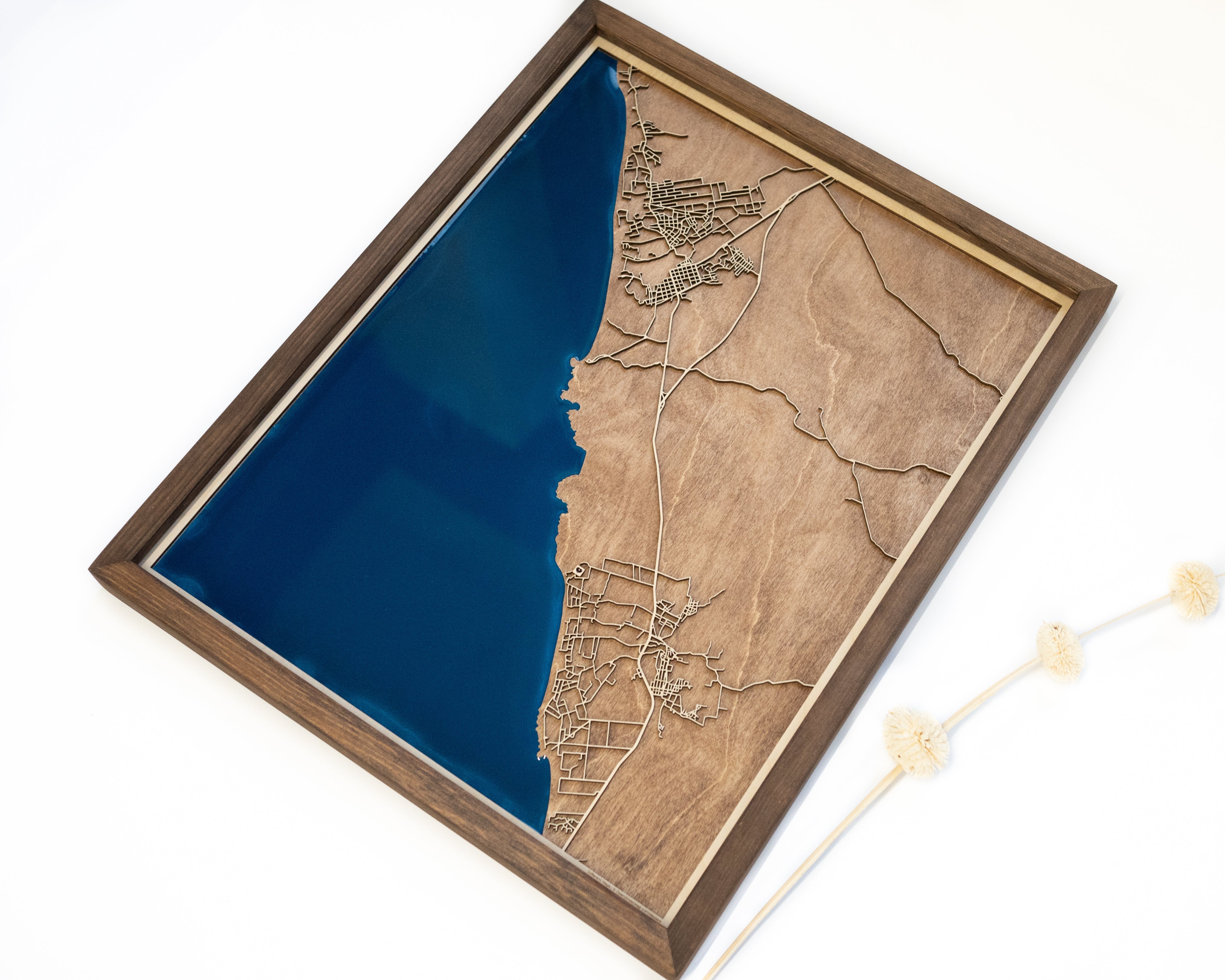 Todos Santos Map
